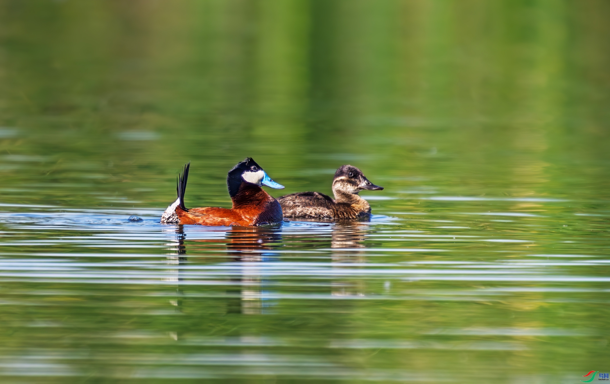 11.23 ����������ʦ��Ʒ  ����һ��  �ٻ�2025��11��23�հ�����ҳ����.jpg