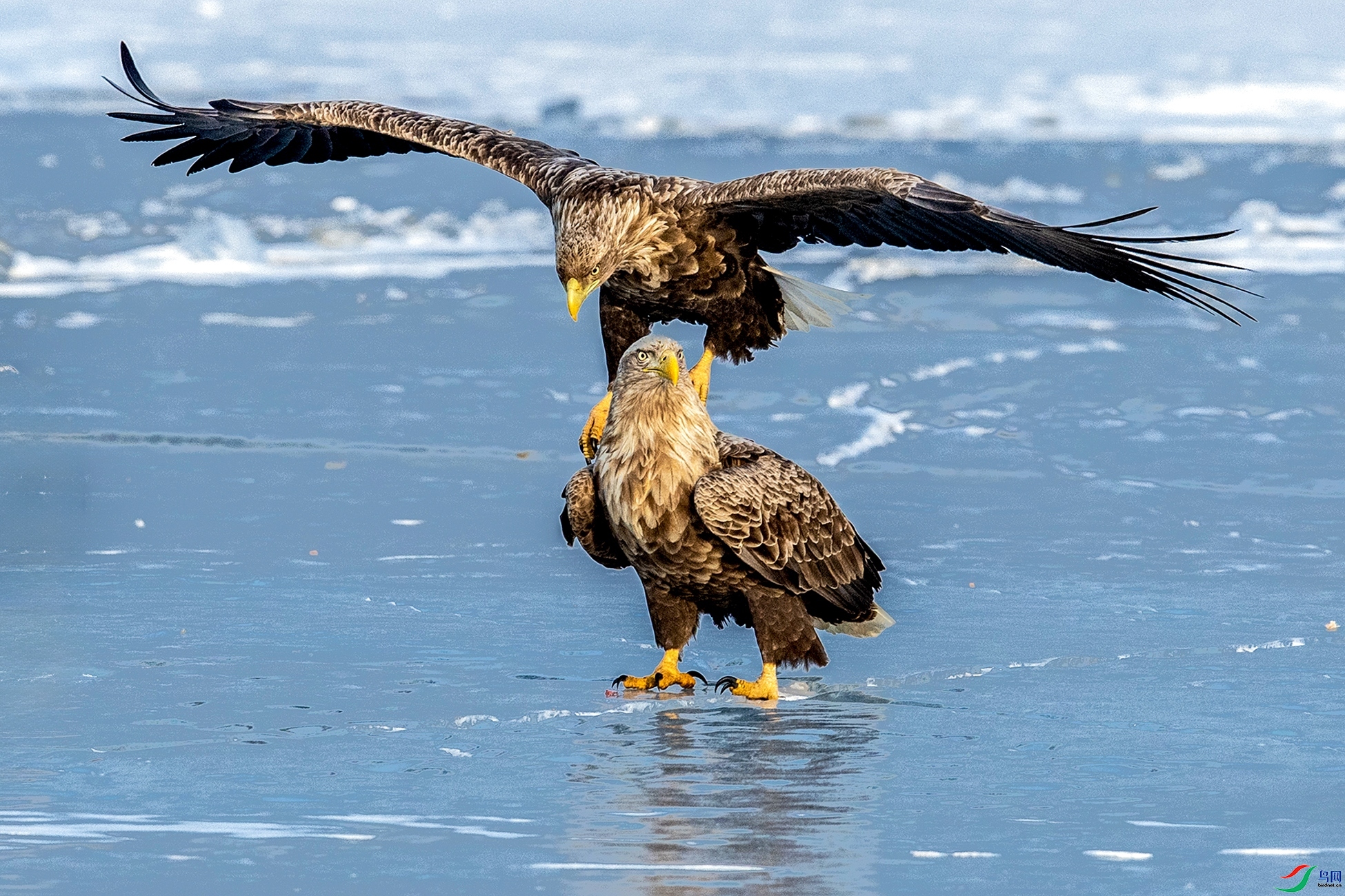 11.22 �ٻ���ʦ��Ʒ  ����˫��  �ٻ�2025��11��22����Ӱʦ��ҳ����.jpg