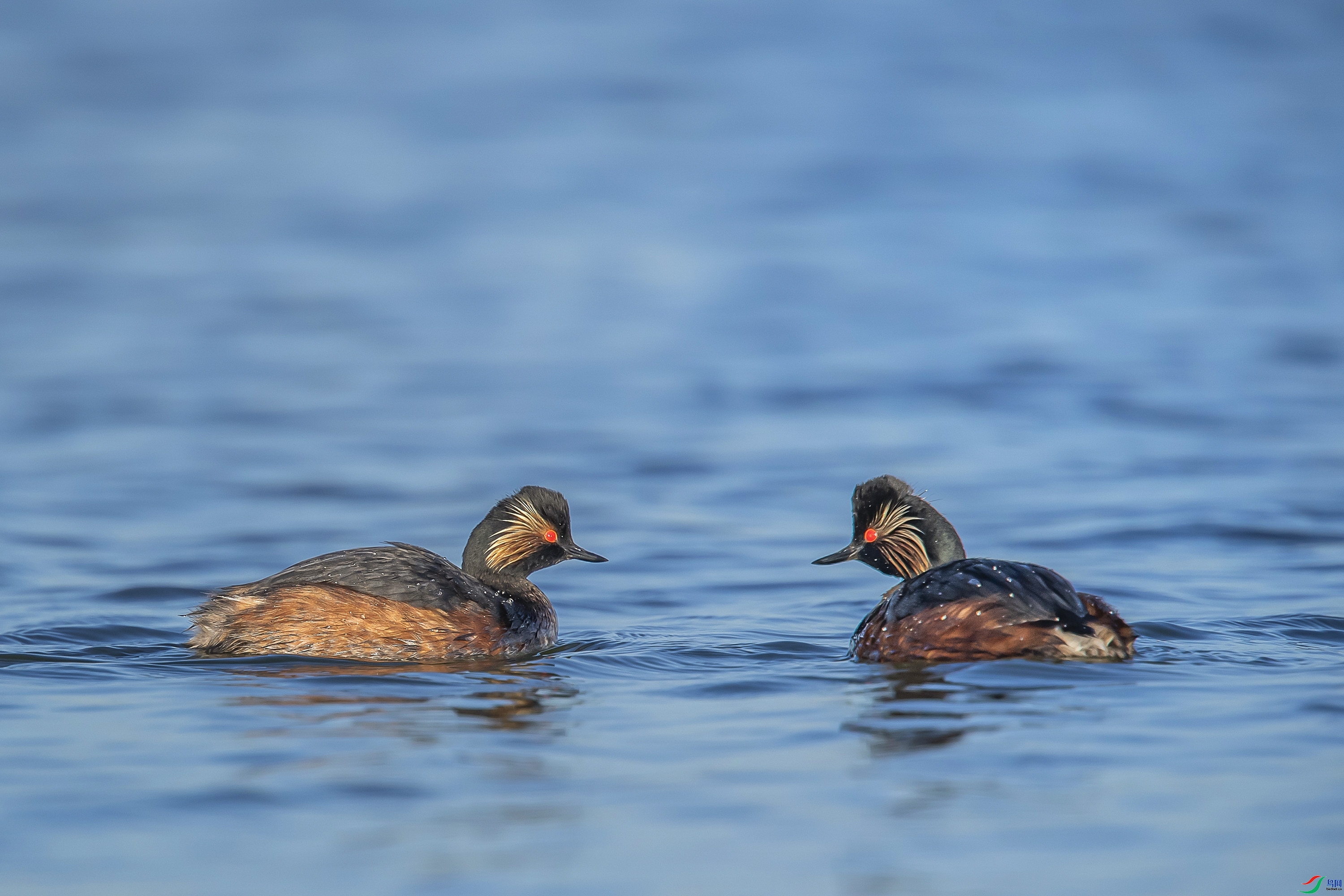 11.23 ����1183��ʦ��Ʒ  �������  �ٻ�2025��11��23����Ӱʦ��ҳ����.jpg