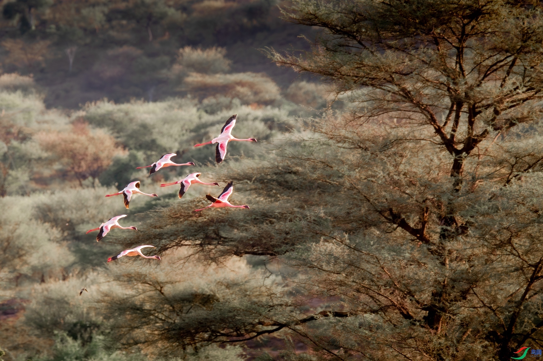 11.24 һ·�����ʦ��Ʒ  ������  �ٻ�2025��11��24����Ӱʦ��ҳ����.jpg