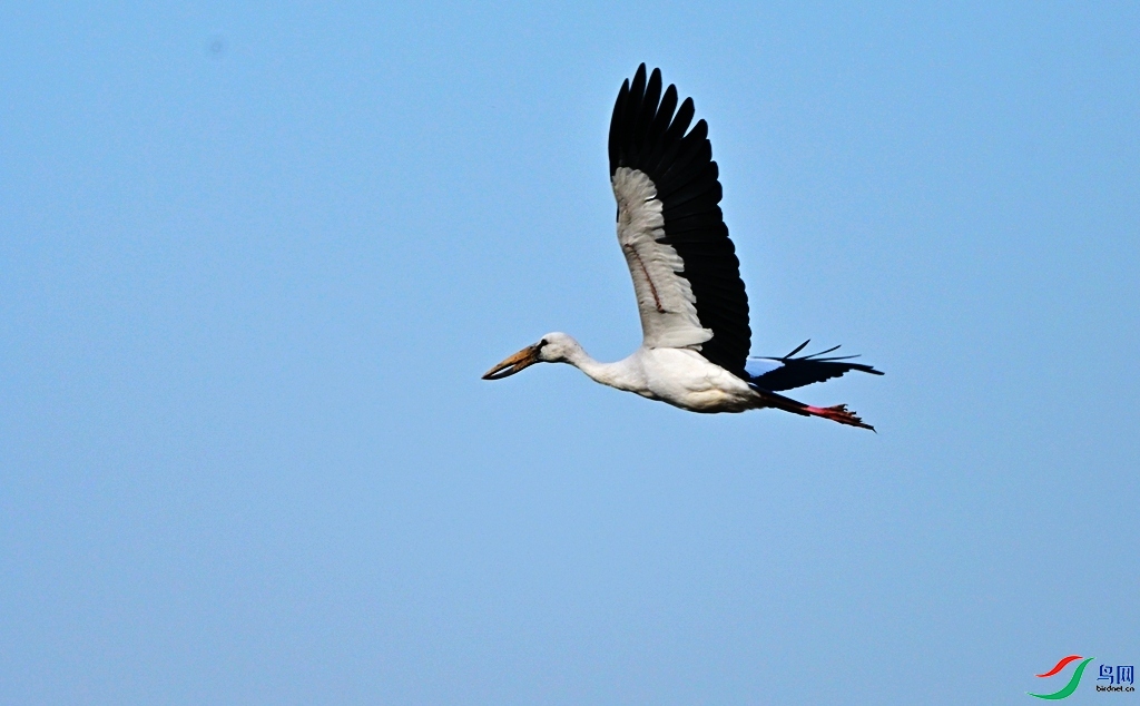 11.26 ˶����ʦ��Ʒ  ǯ����  �ٻ�2025��11��26�ջ�Ա��ҳ����.jpg