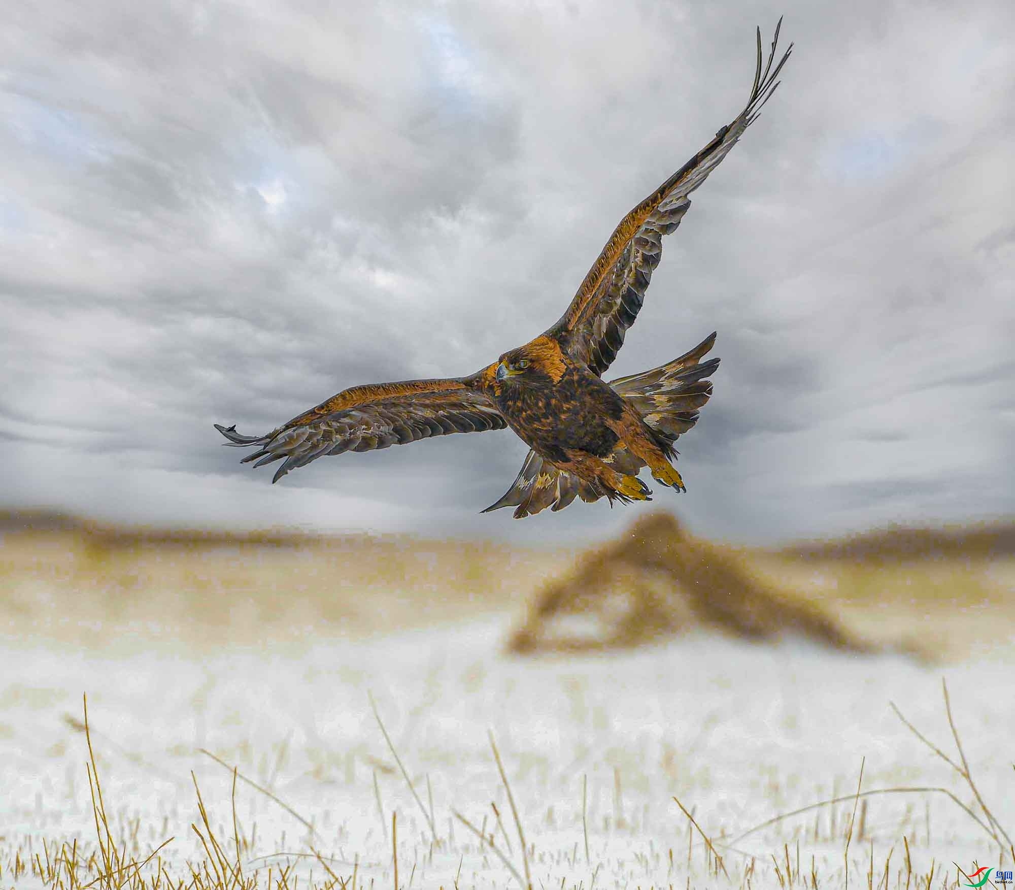 11.25 ��Ӱ������ʦ��Ʒ  �ڿն���  �ٻ�2025��11��25�ջ�Ա��ҳ����.jpg