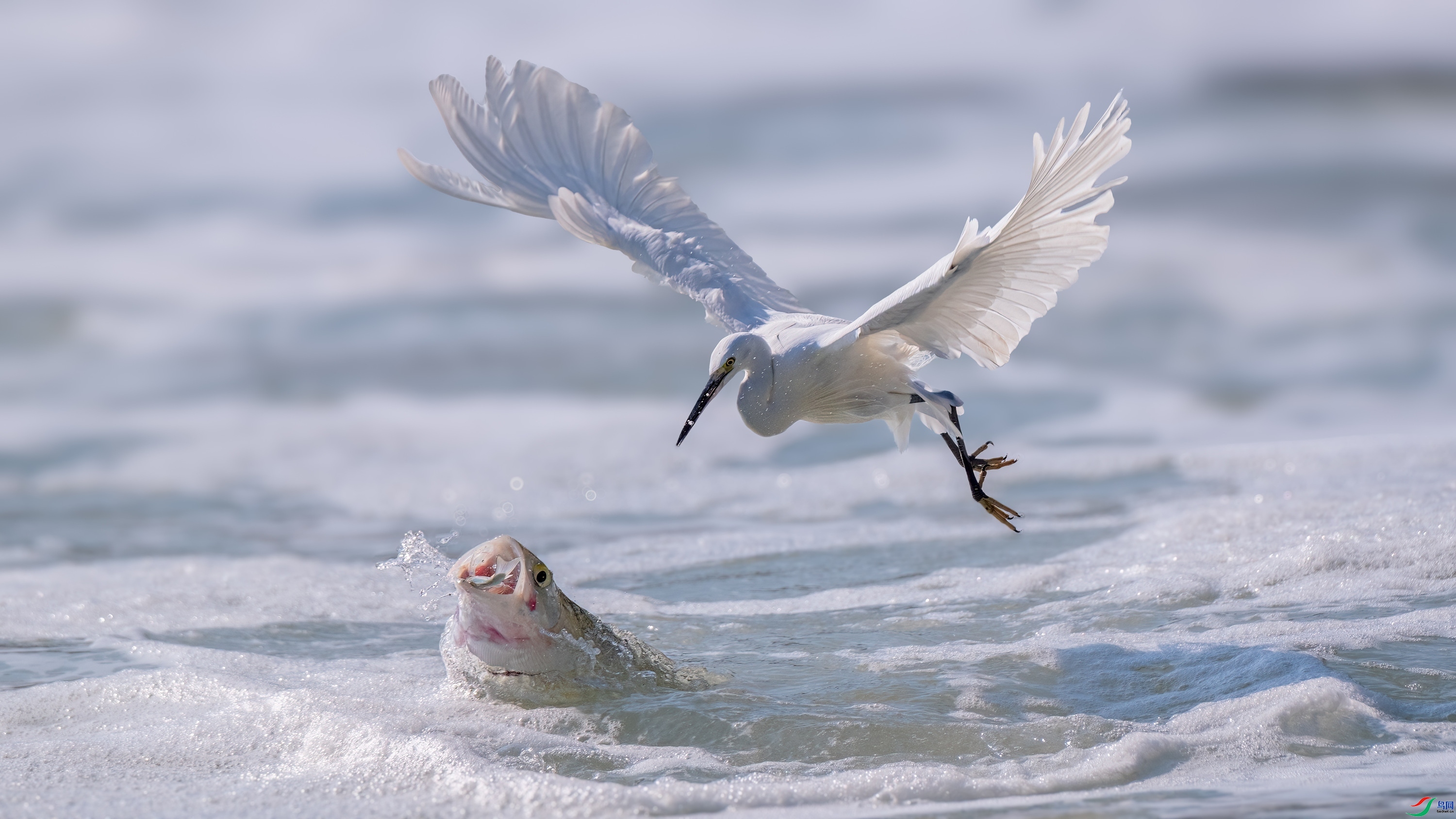 11.26 �����ʦ��Ʒ  ������  �ٻ�2025��11��26����Ӱʦ��ҳ����.jpg