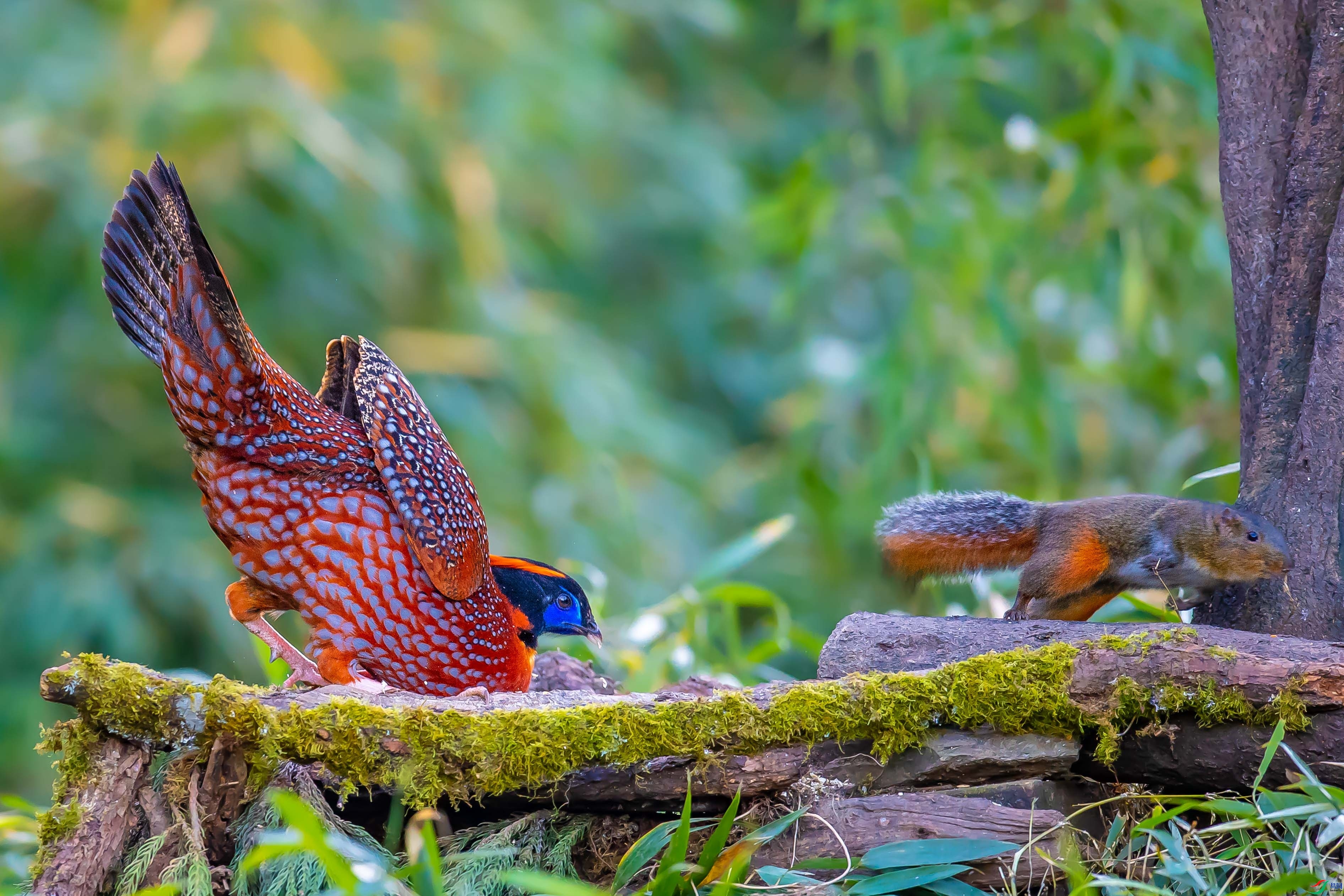 11.26 ��������bj��ʦ��Ʒ  �ҵĵ���  �ٻ�2025��11��26�հ�����ҳ����.jpg