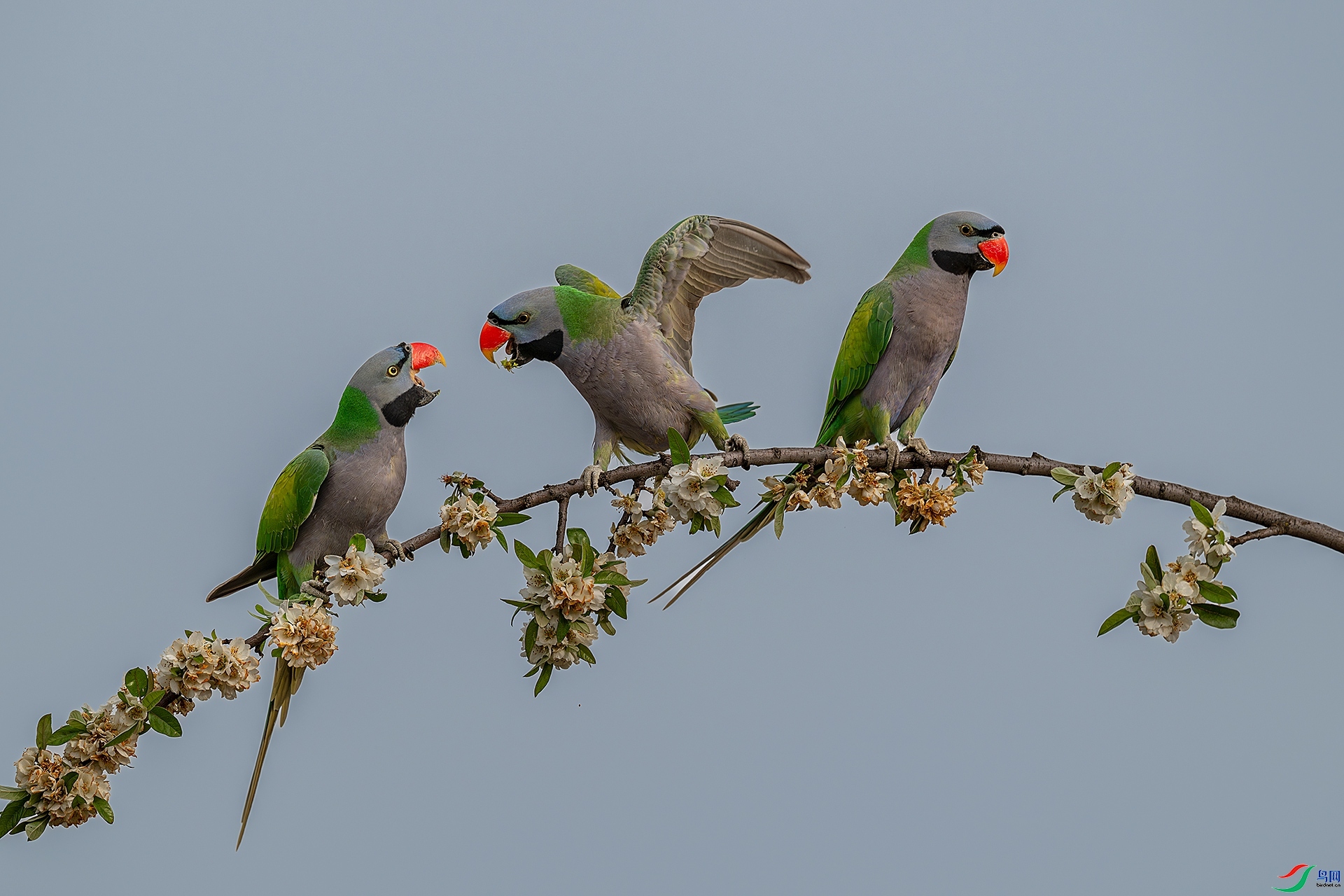 11.27 ֣��������ʦ��Ʒ  ��������  �ٻ�2025��11��27����Ӱʦ��ҳ����.jpg