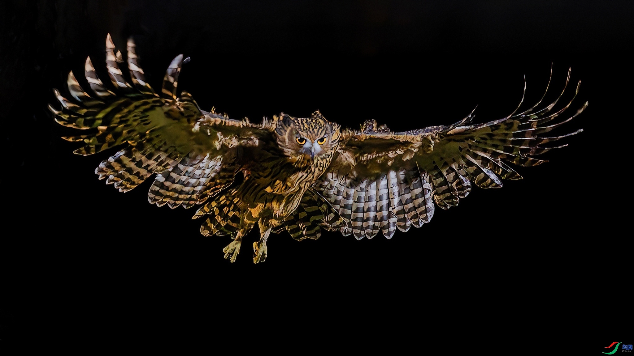 11.27 ����a��ʦ��Ʒ  ��������  �ٻ�2025��11��27����Ӱʦ��ҳ����.jpg