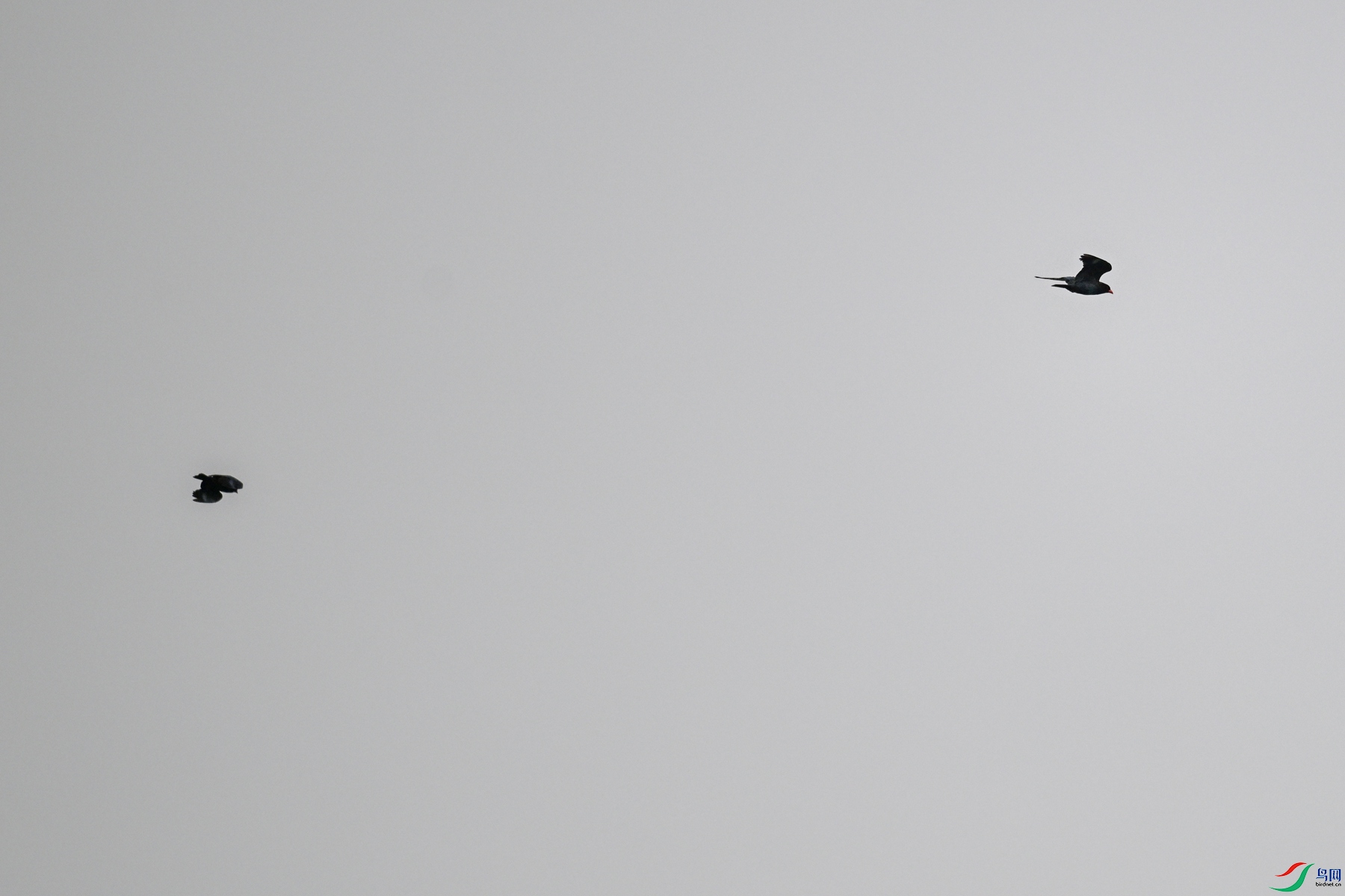 DSC_9446.JPG