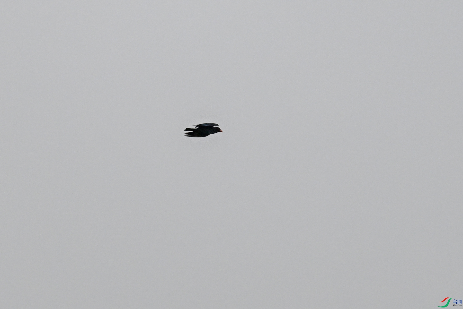 DSC_9447.JPG
