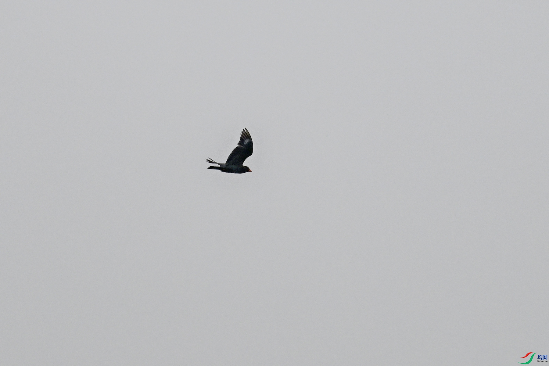 DSC_9110.JPG