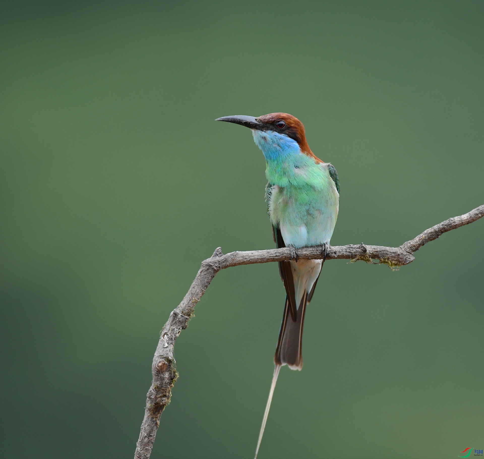 DSC_0969.jpg