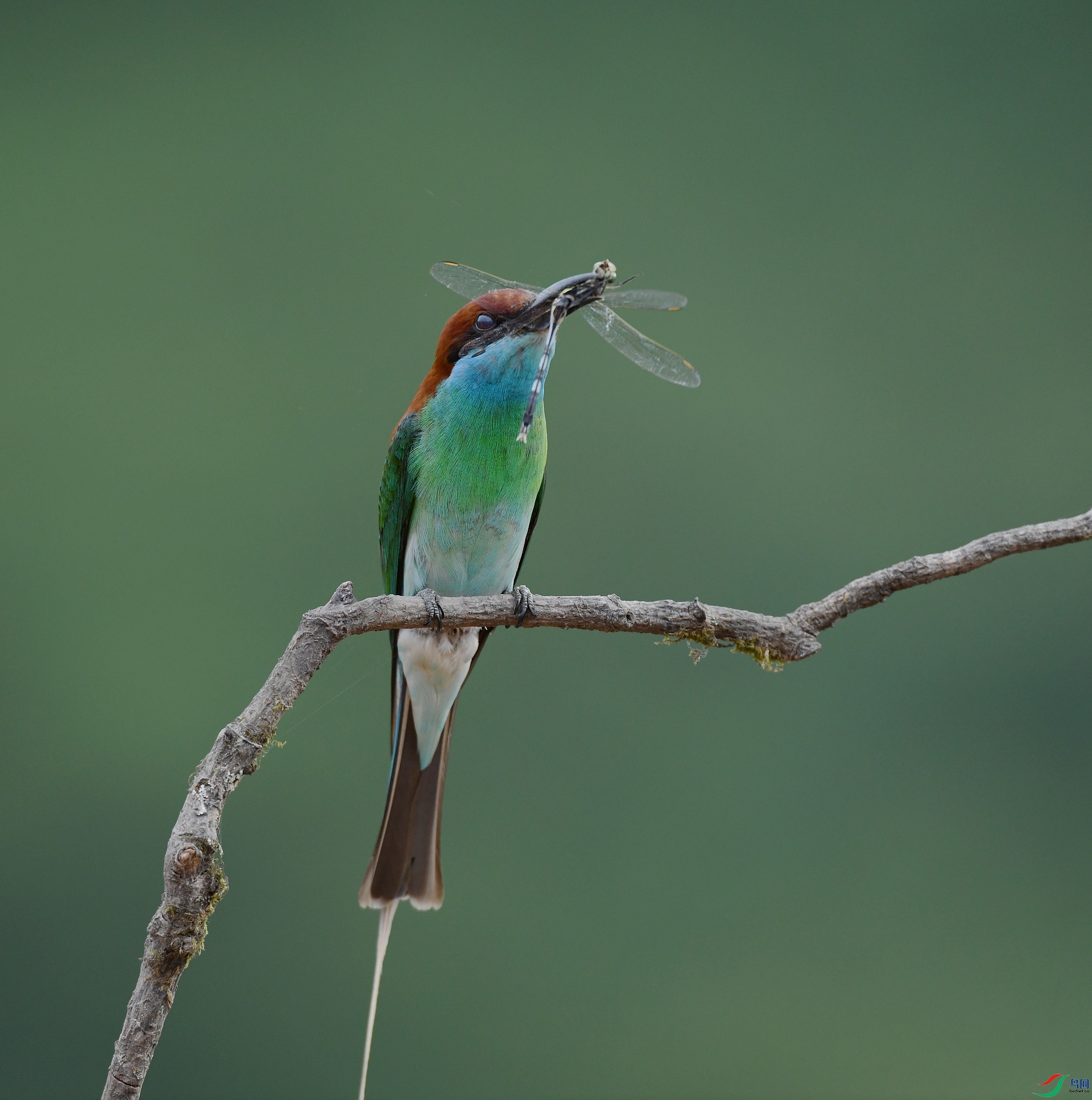 DSC_0740.jpg
