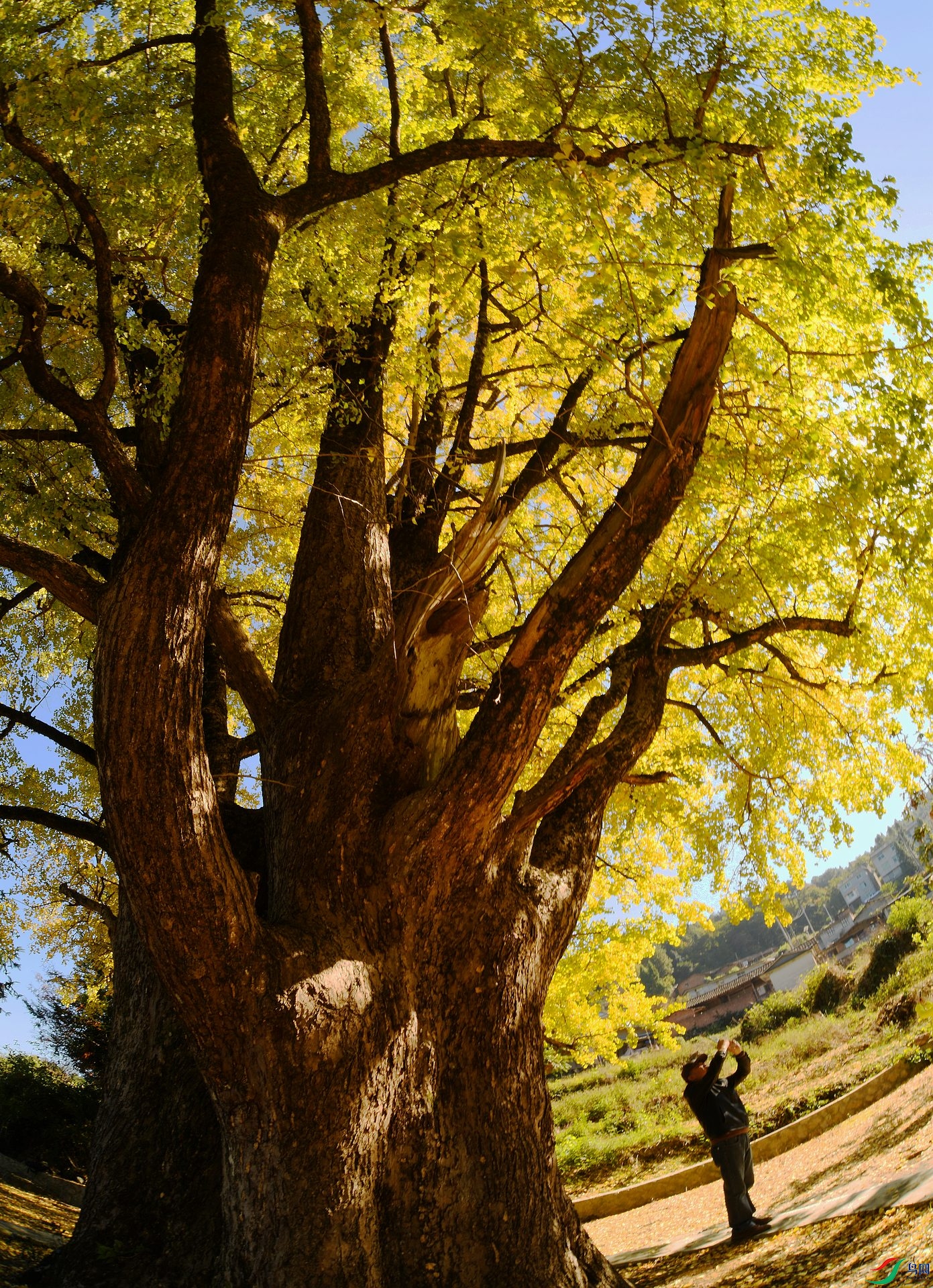 DSC_5044.jpg