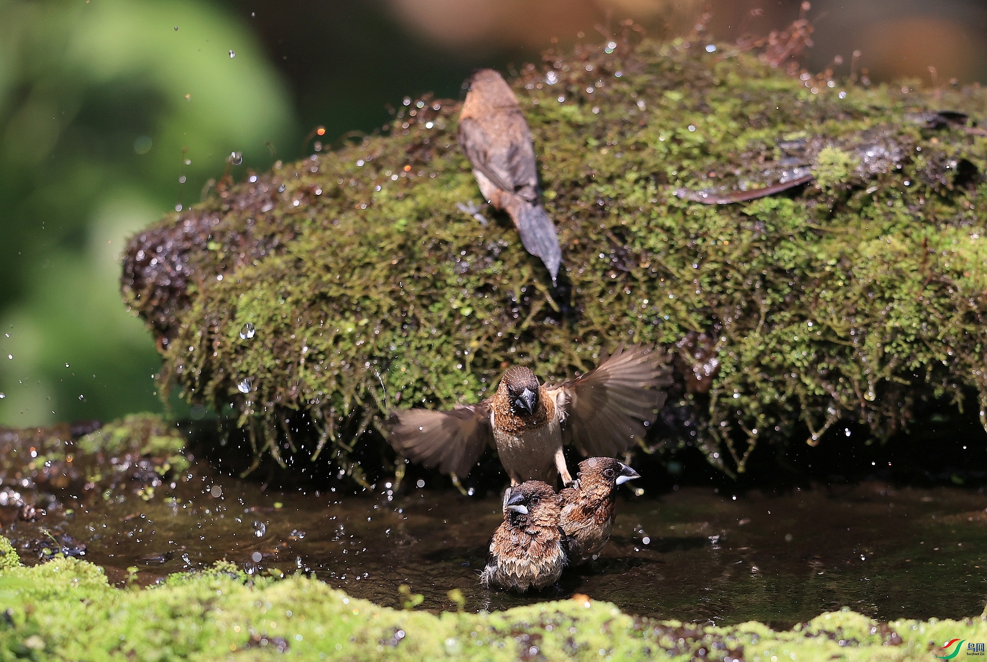 AK1I0391�� ��2.JPG