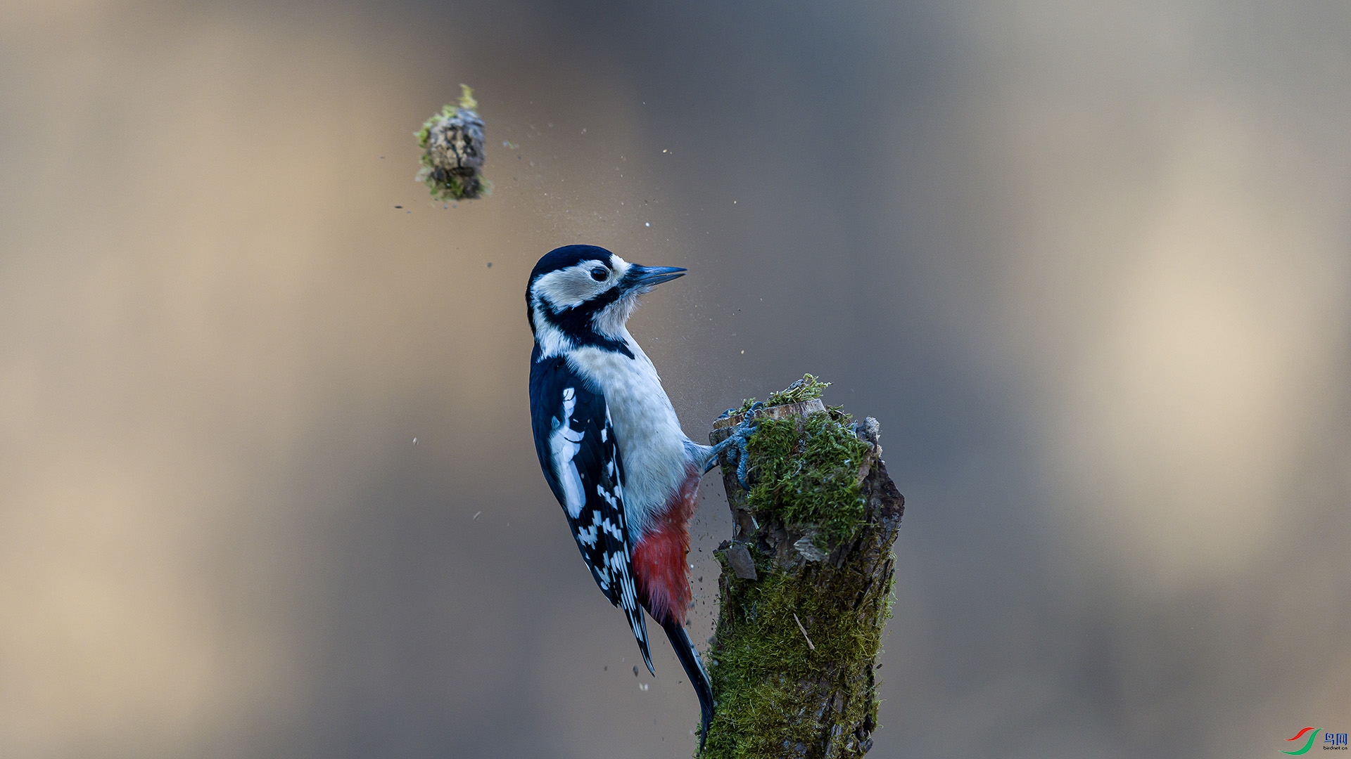 051A3595 ���� n.jpg