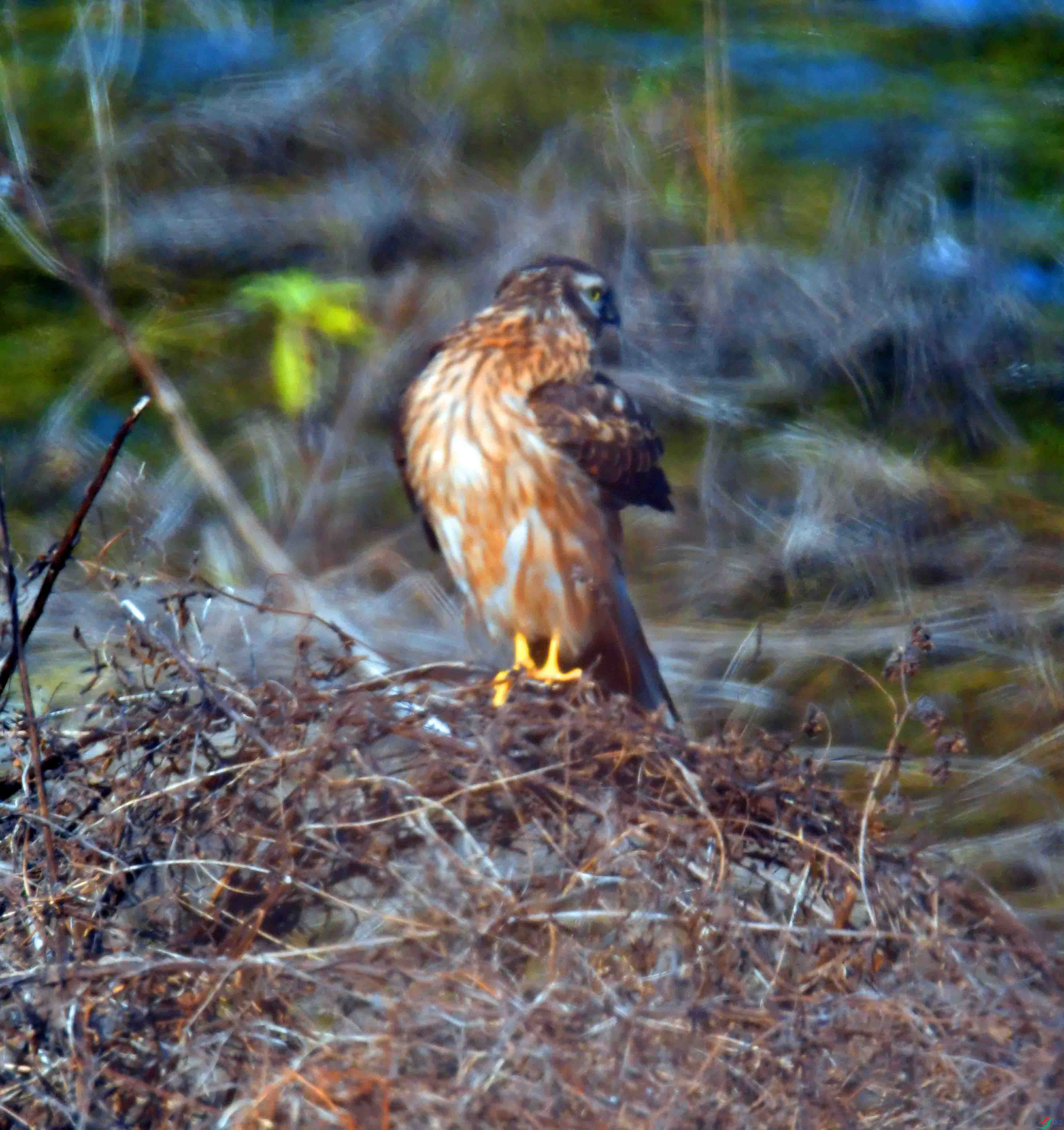 DSC_8874.JPG
