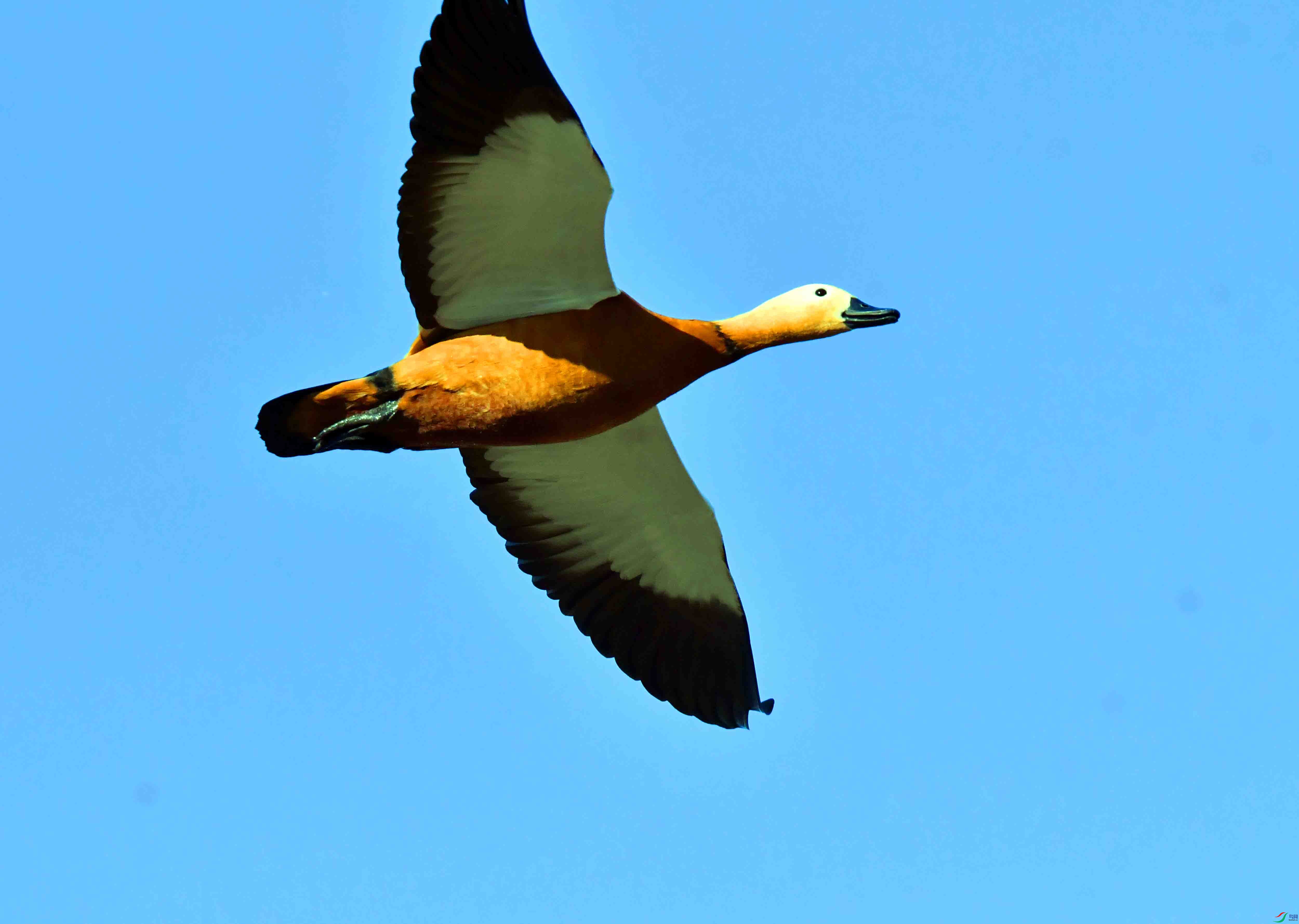 DSC_1214.JPG