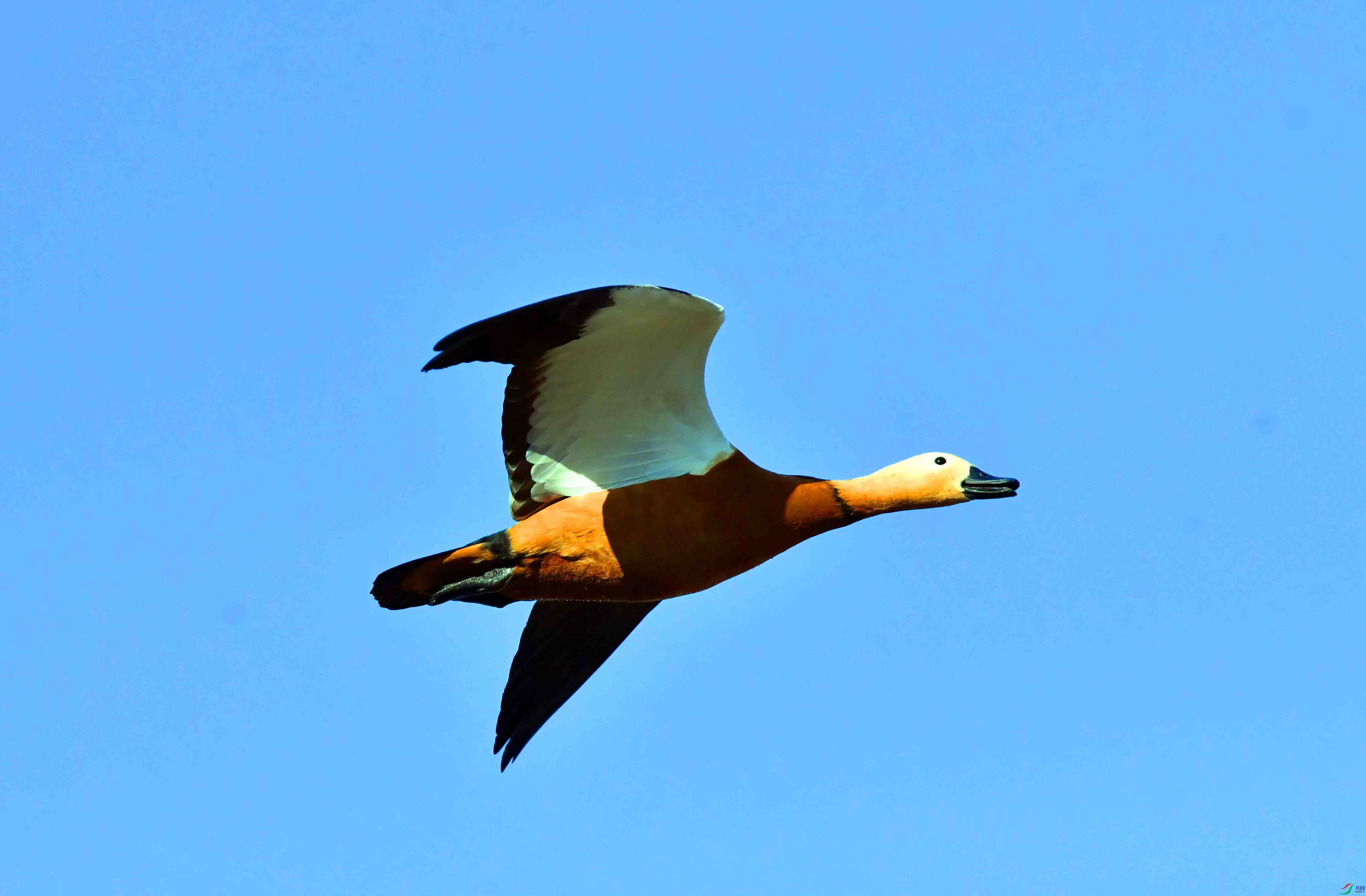 DSC_1215.JPG