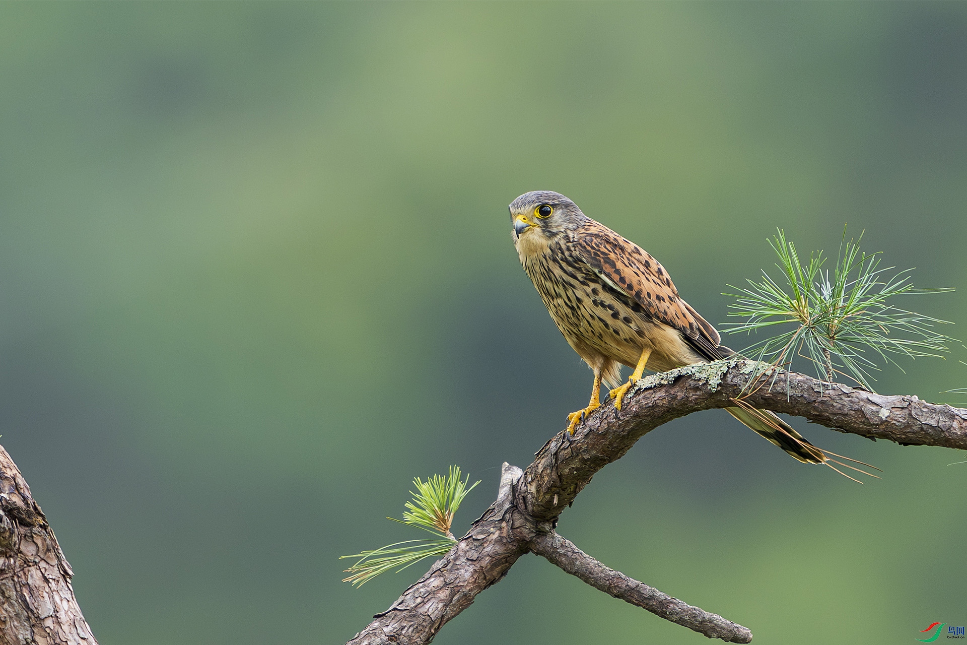 _DSC0561 ���� 2.jpg