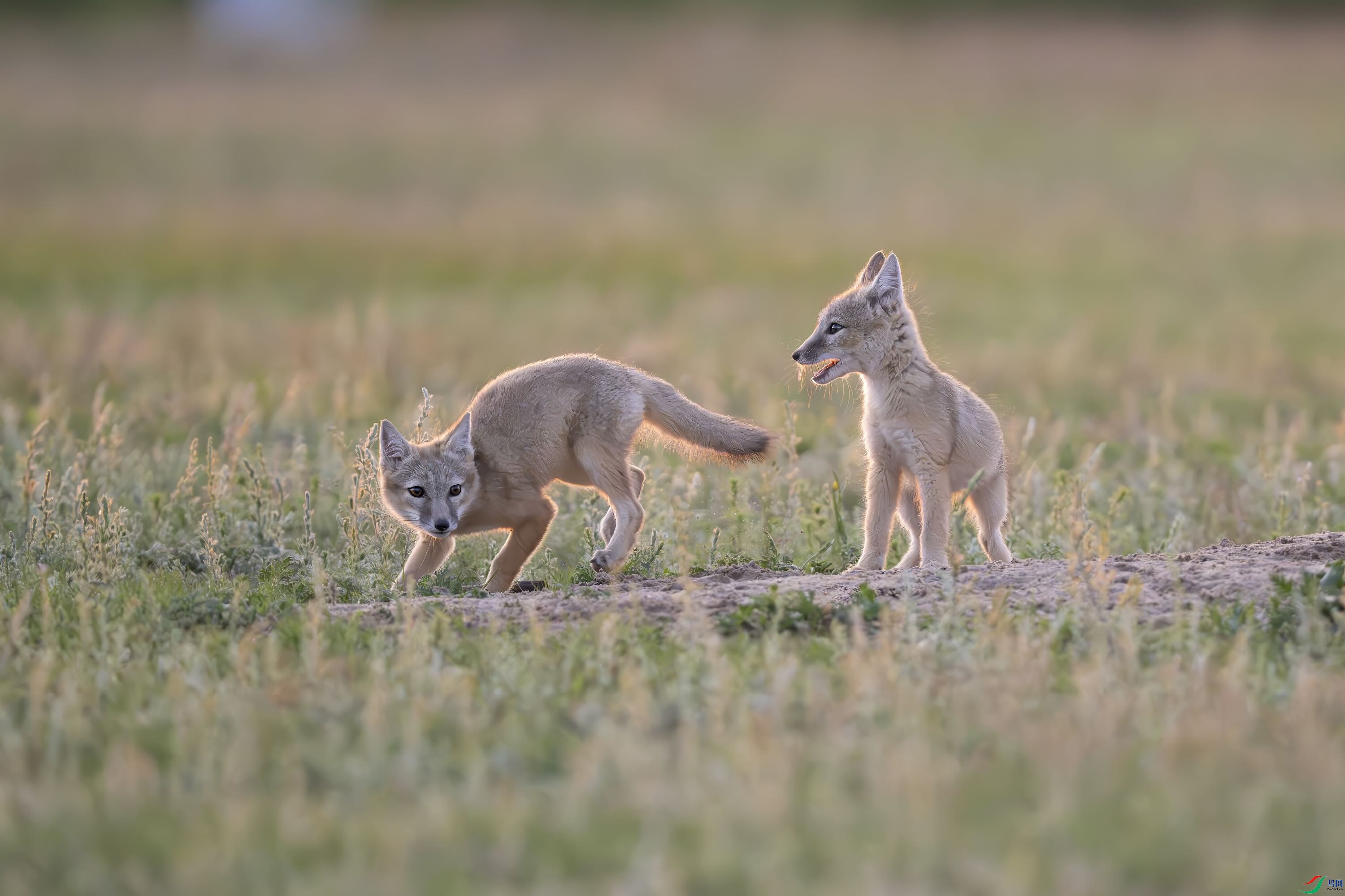 DSC_1423 ����.jpeg