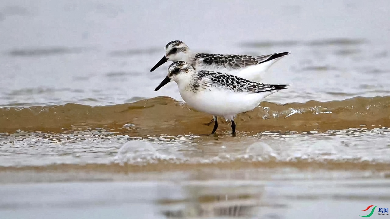 11��16�� (1)��ֺ���ָϺ������ո壩-����.jpg