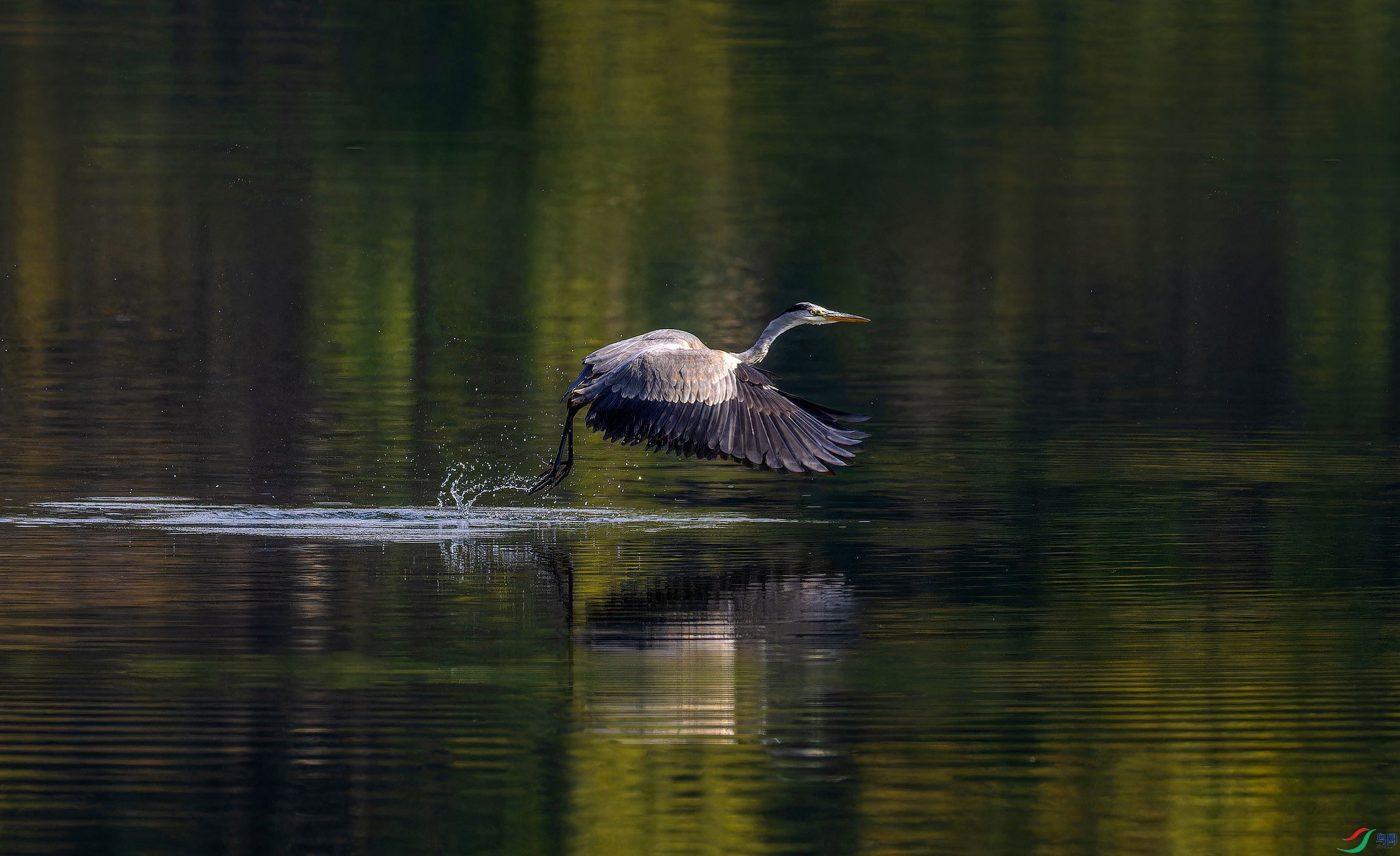 ���� (2)-01.jpg