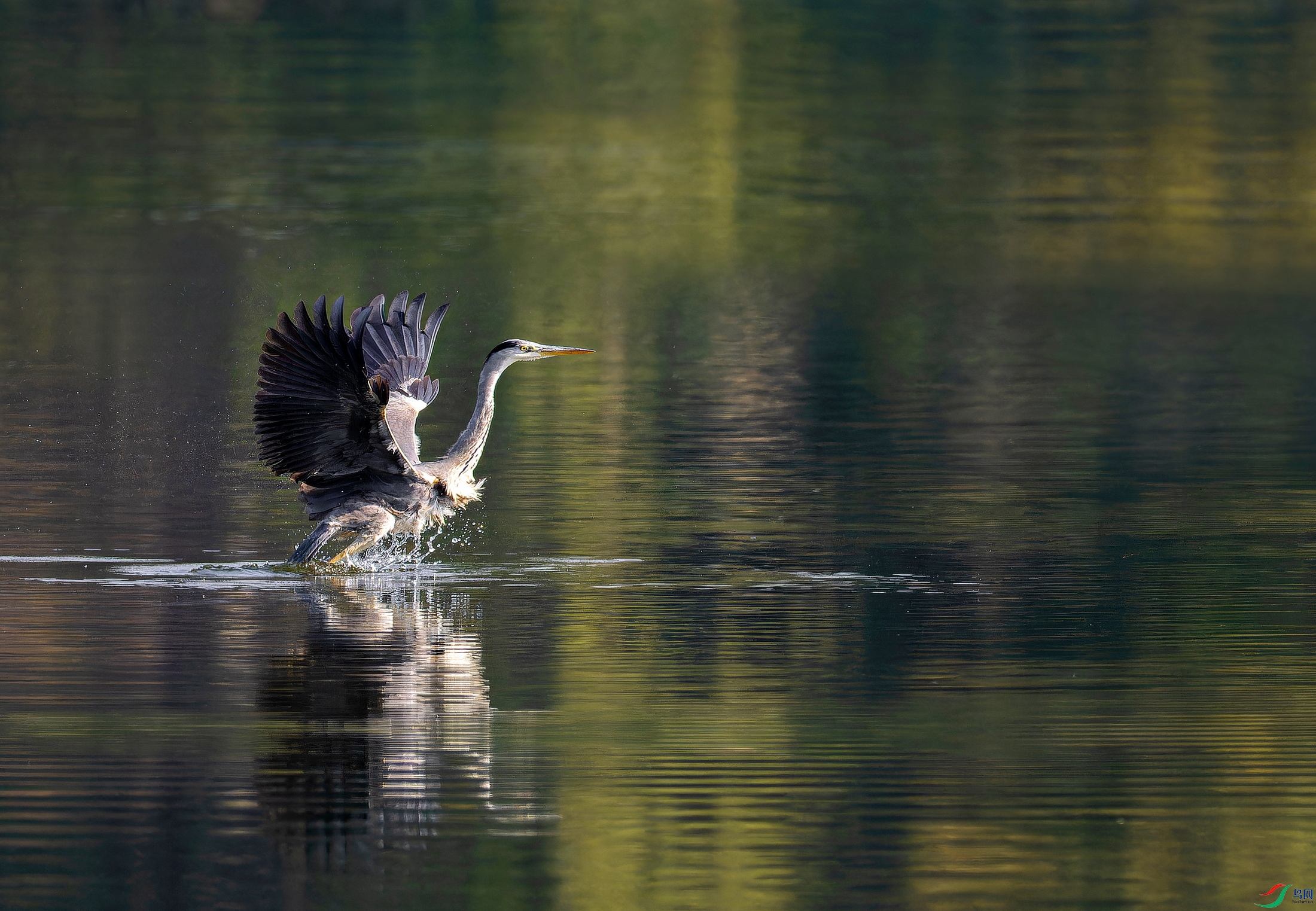 ���� (1)-01.jpg