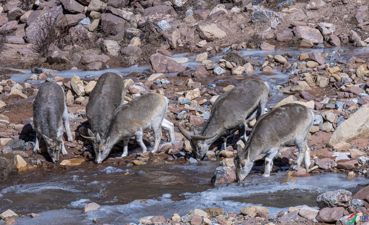 ����һ�� (5)-01.jpg