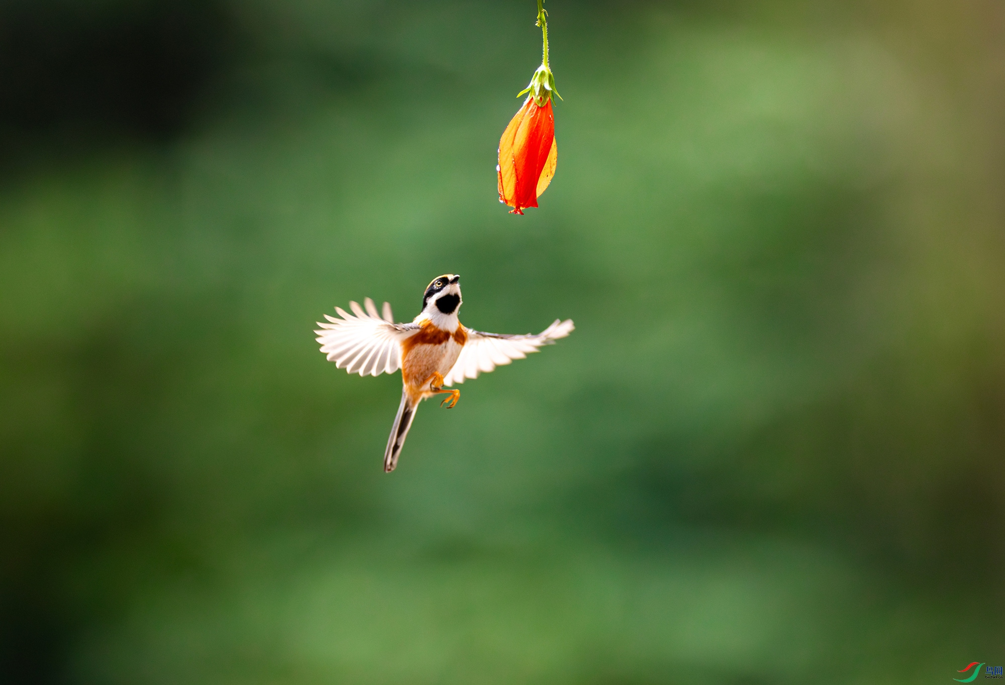 6H9A0389-����ǿ-NR ����_����.jpg