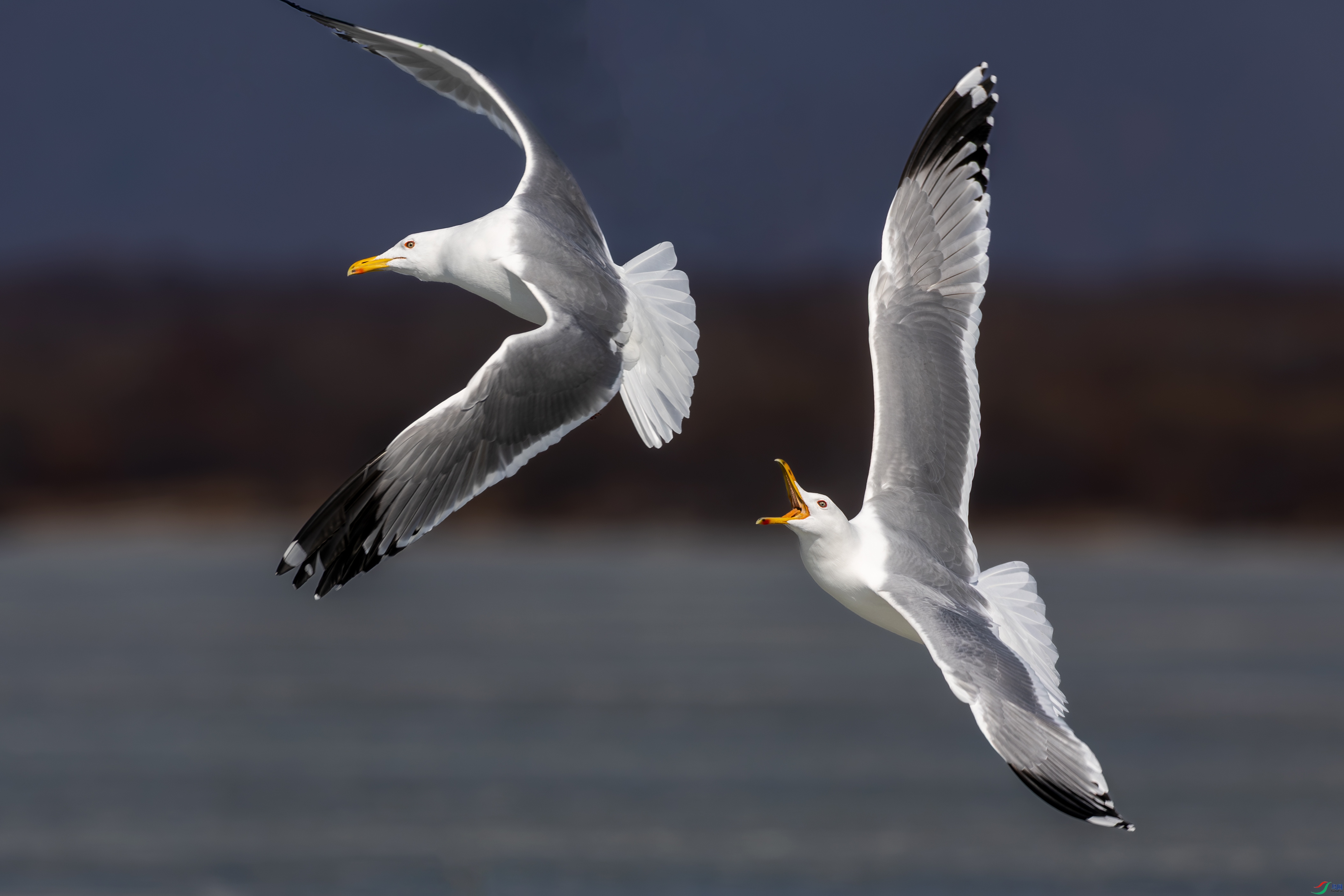 0D7A7116-2.jpg
