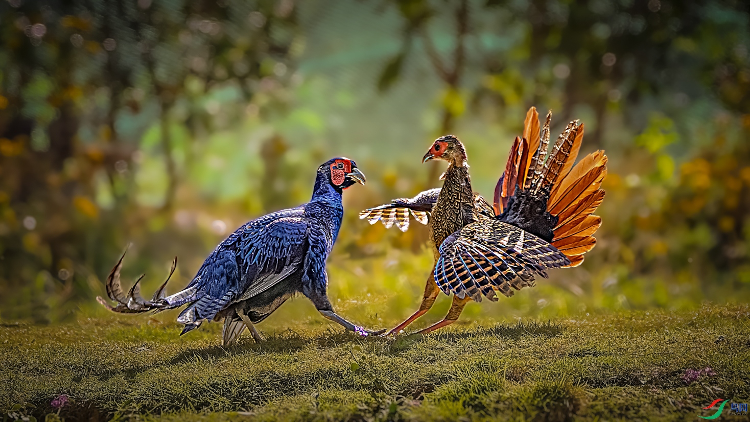 ����̸̸��