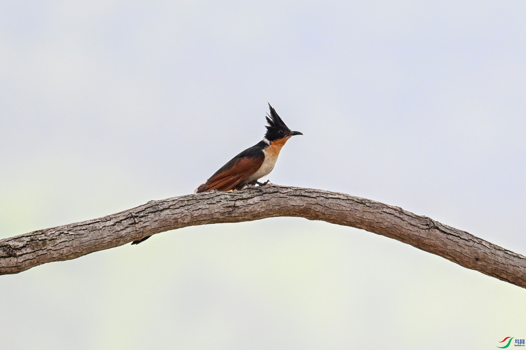 DSC_9456.JPG