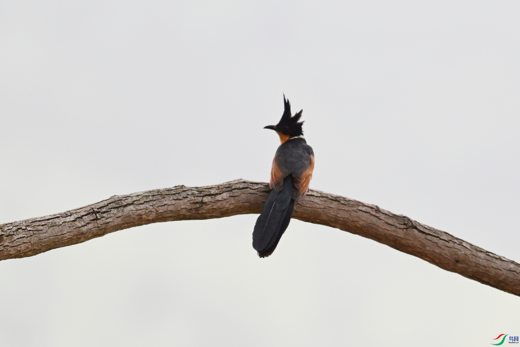 DSC_9473.JPG