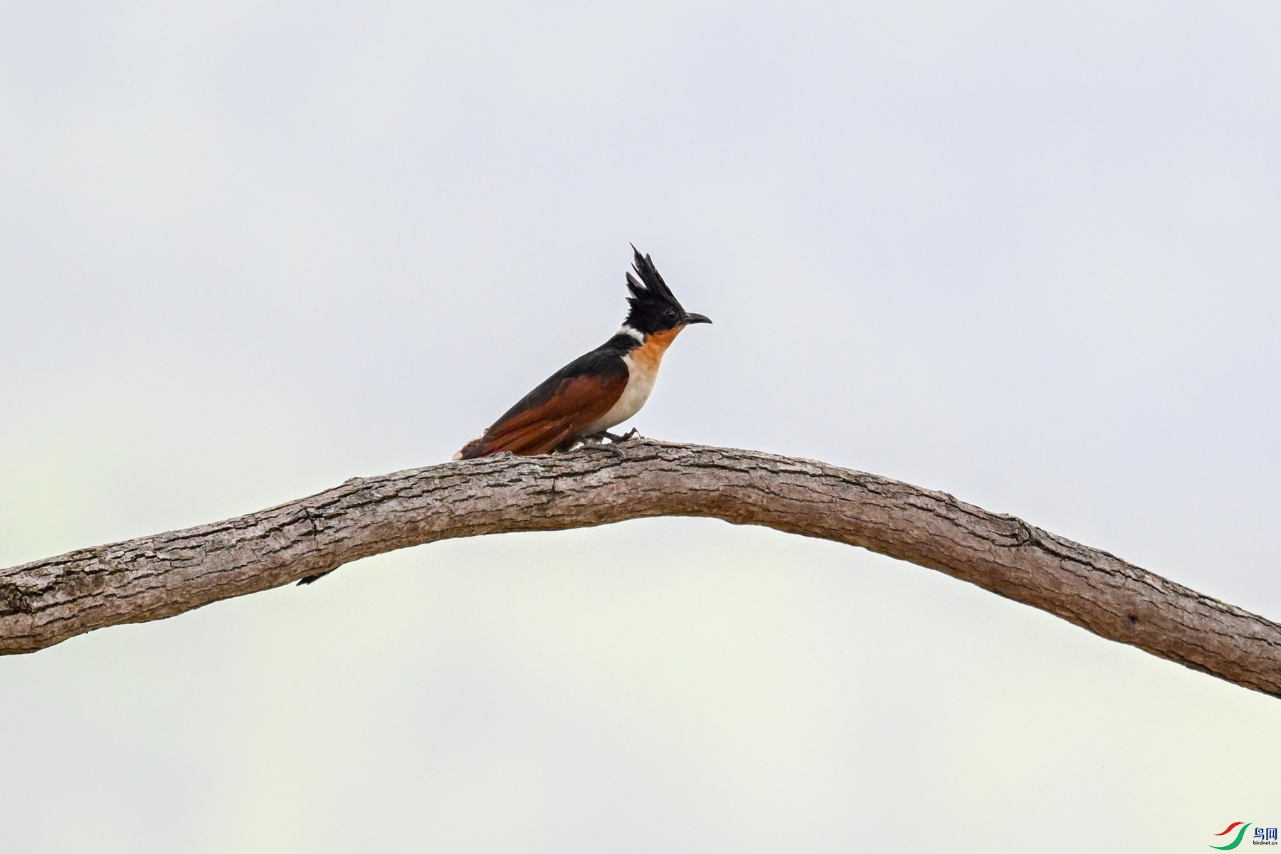 DSC_9459.JPG