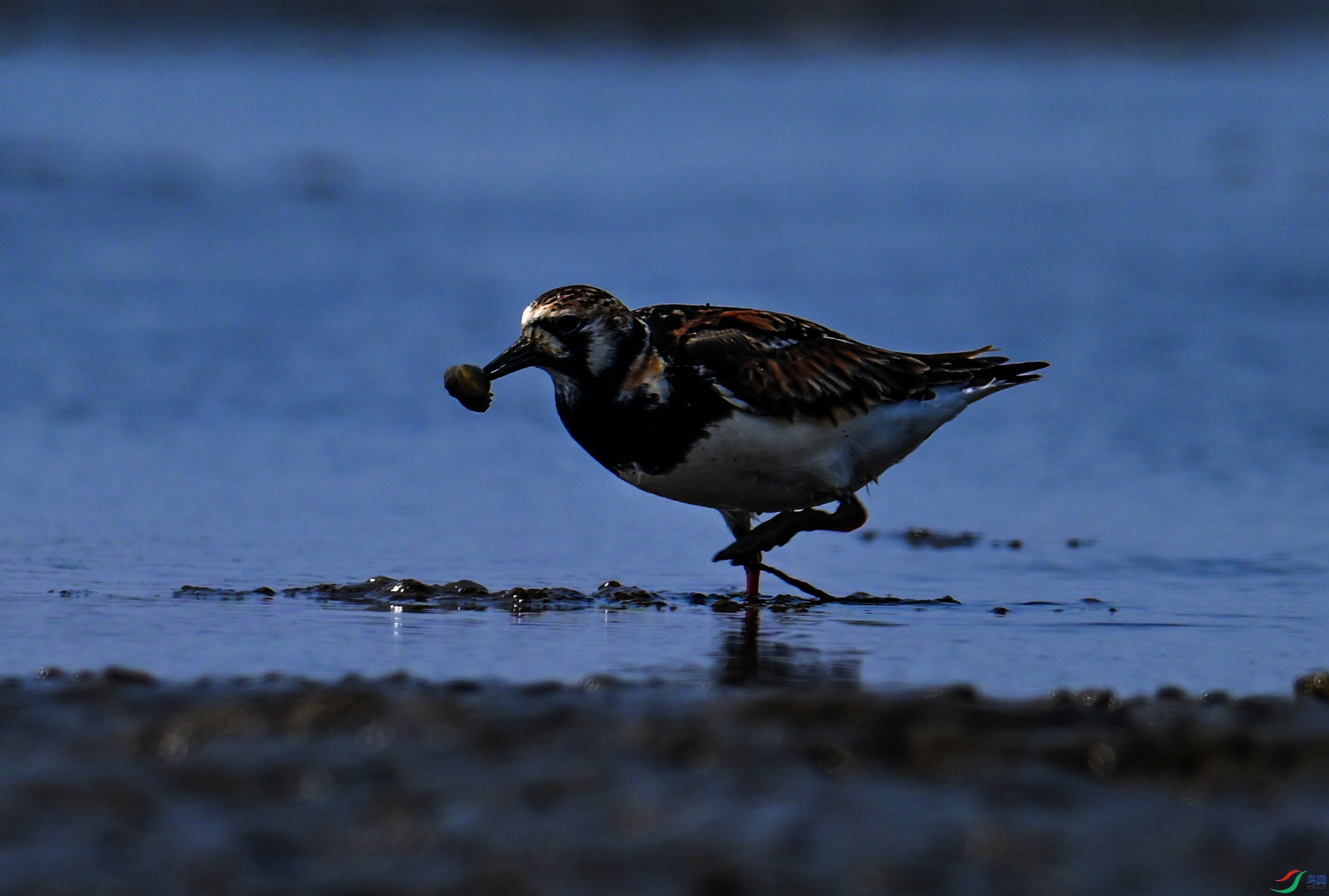 DSC_8864.jpg