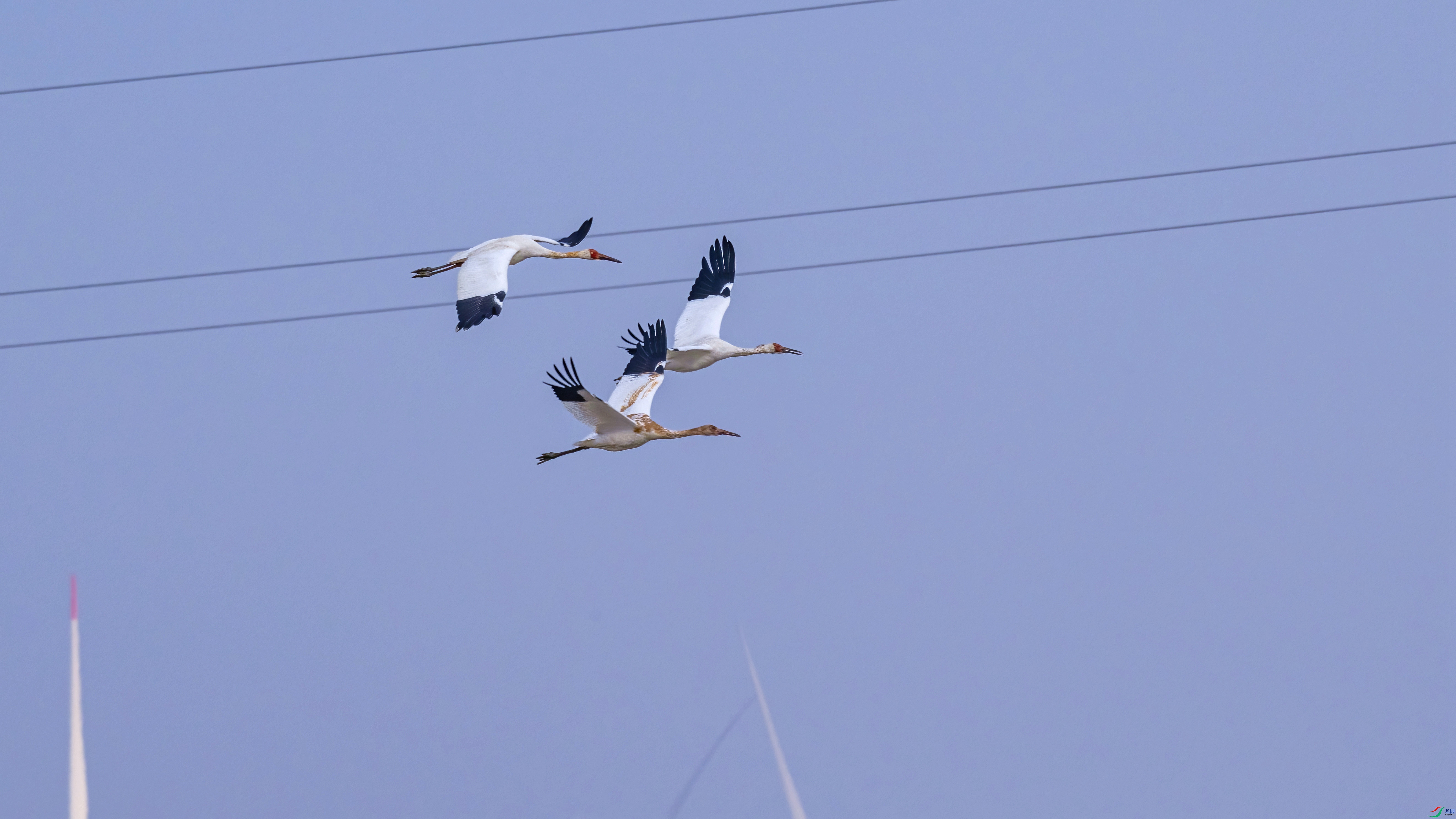 DSC_8217.jpg