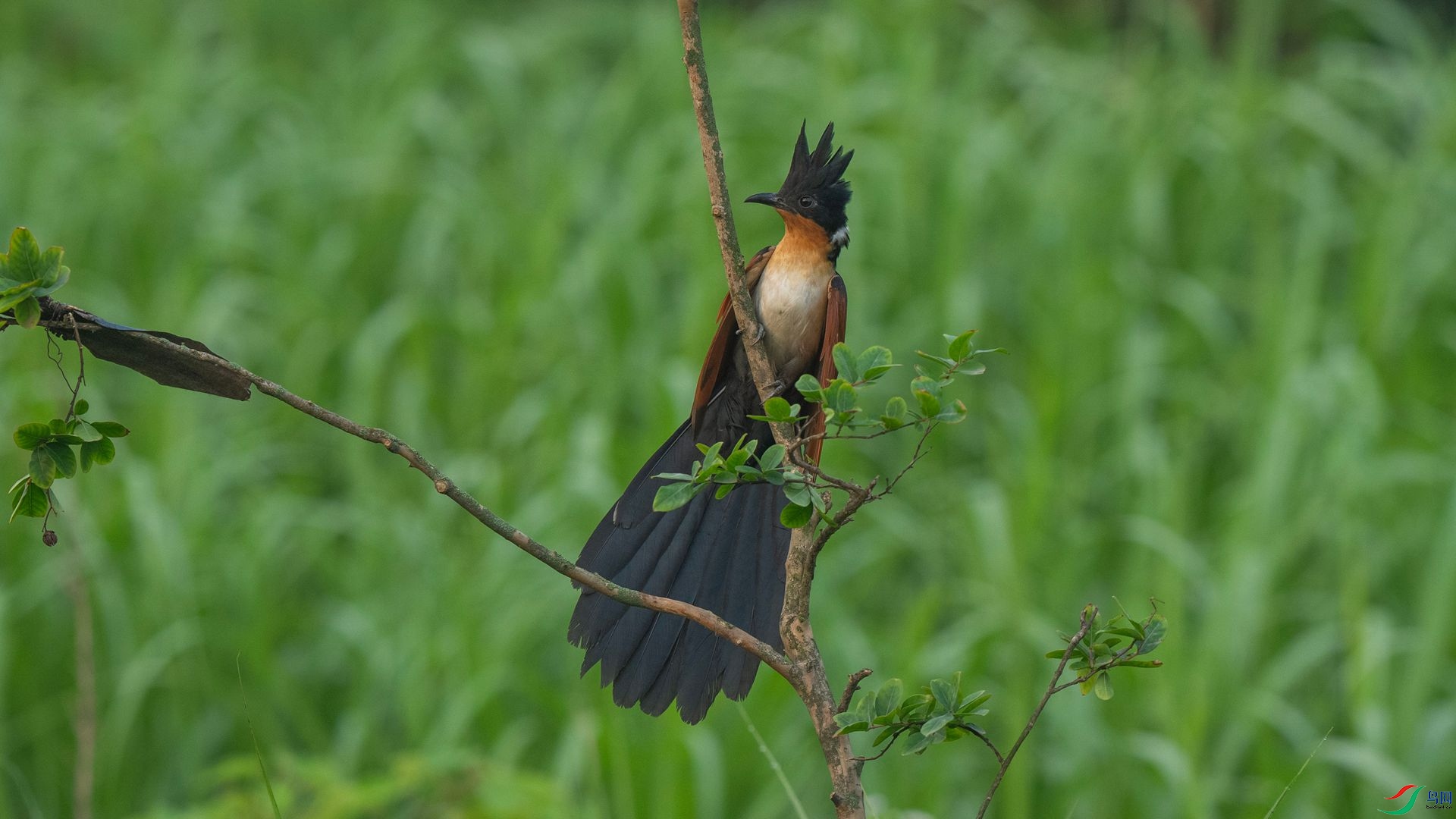 DSC06952 ����.jpg