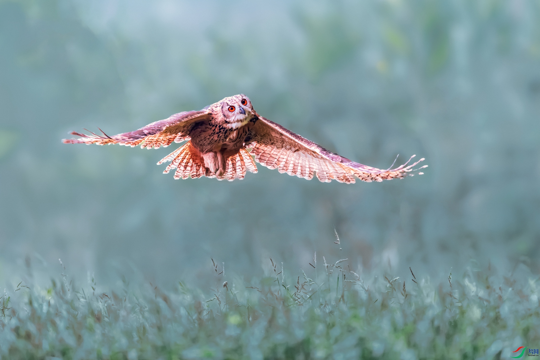 ���^----������Ӱ