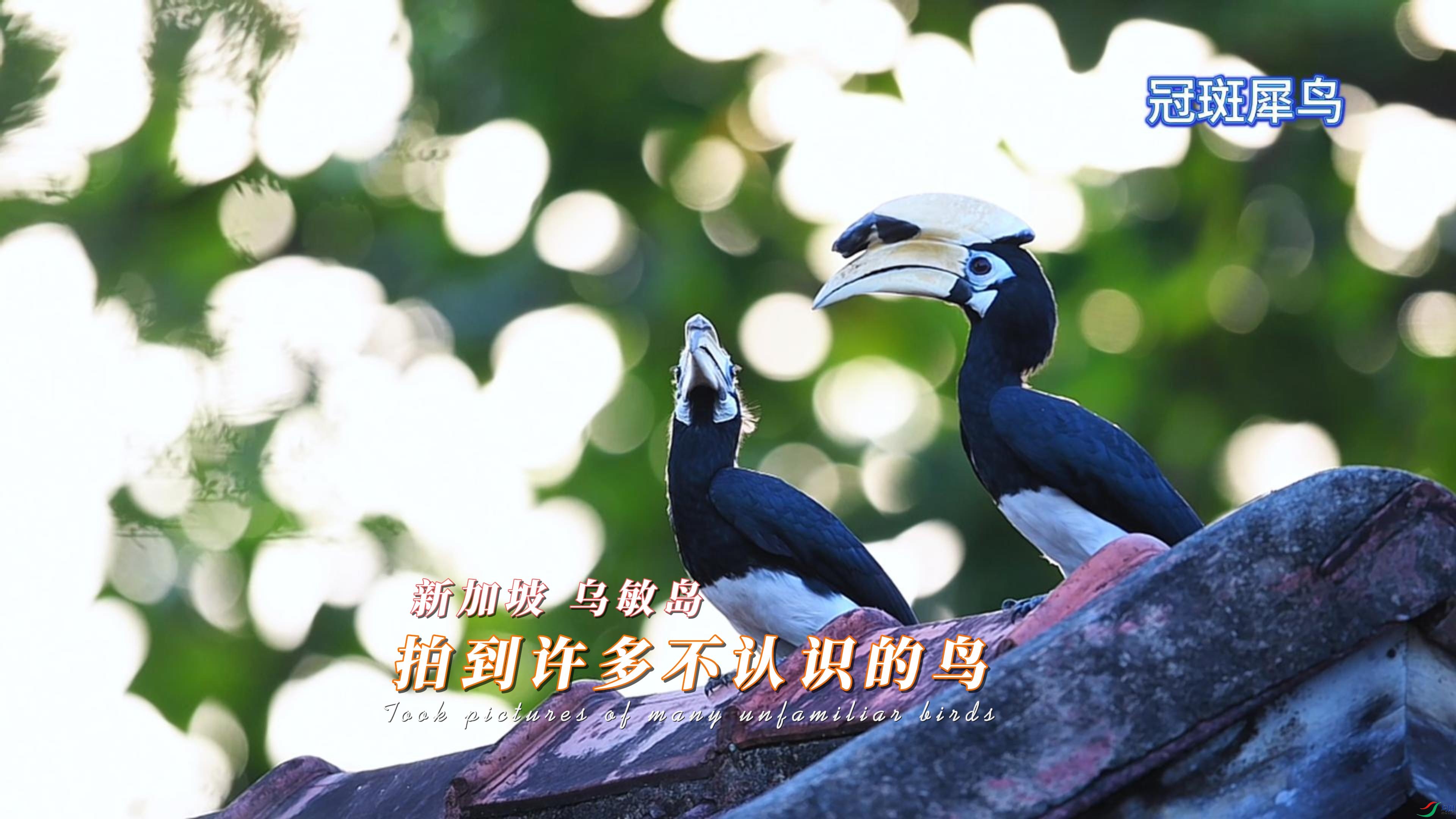 �¼��� ������ �ĵ����಻��ʶ����-����.jpg