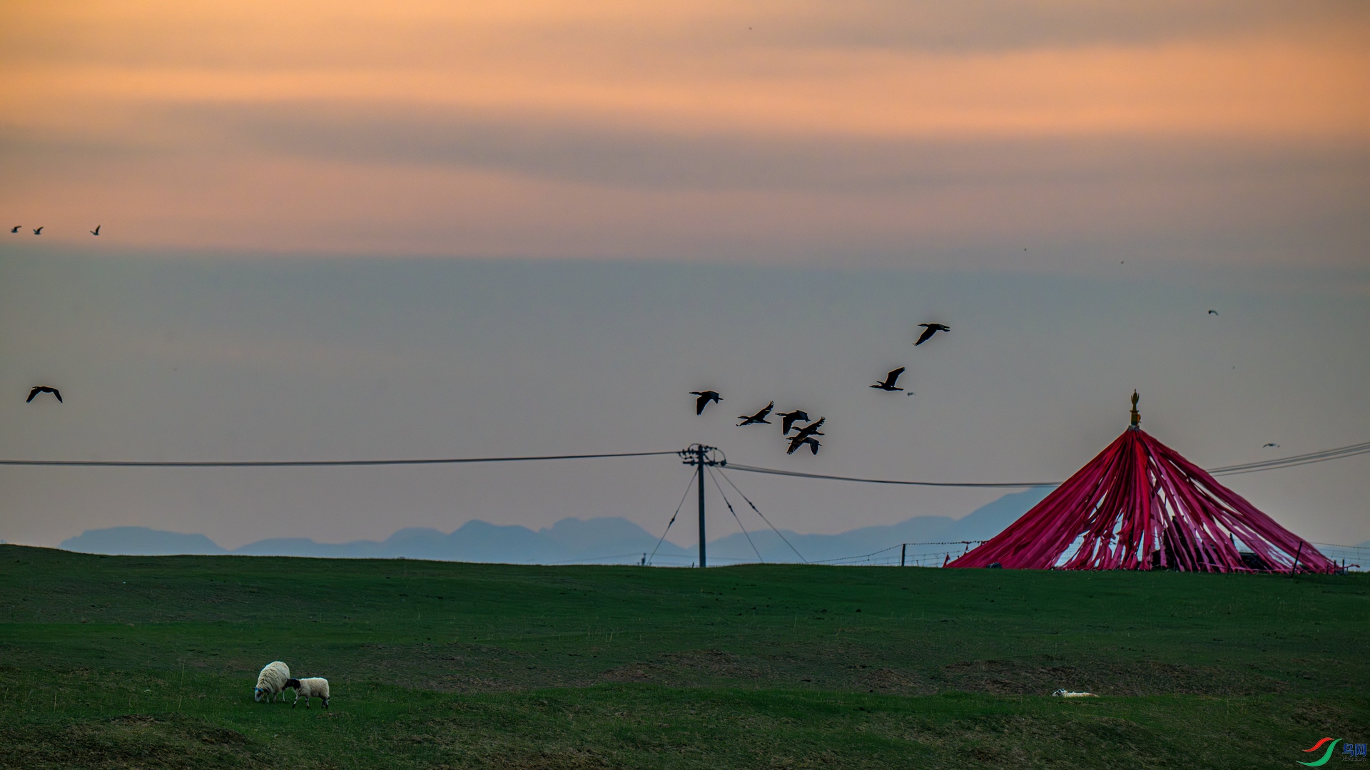 _DSC0116 ����_����.jpg