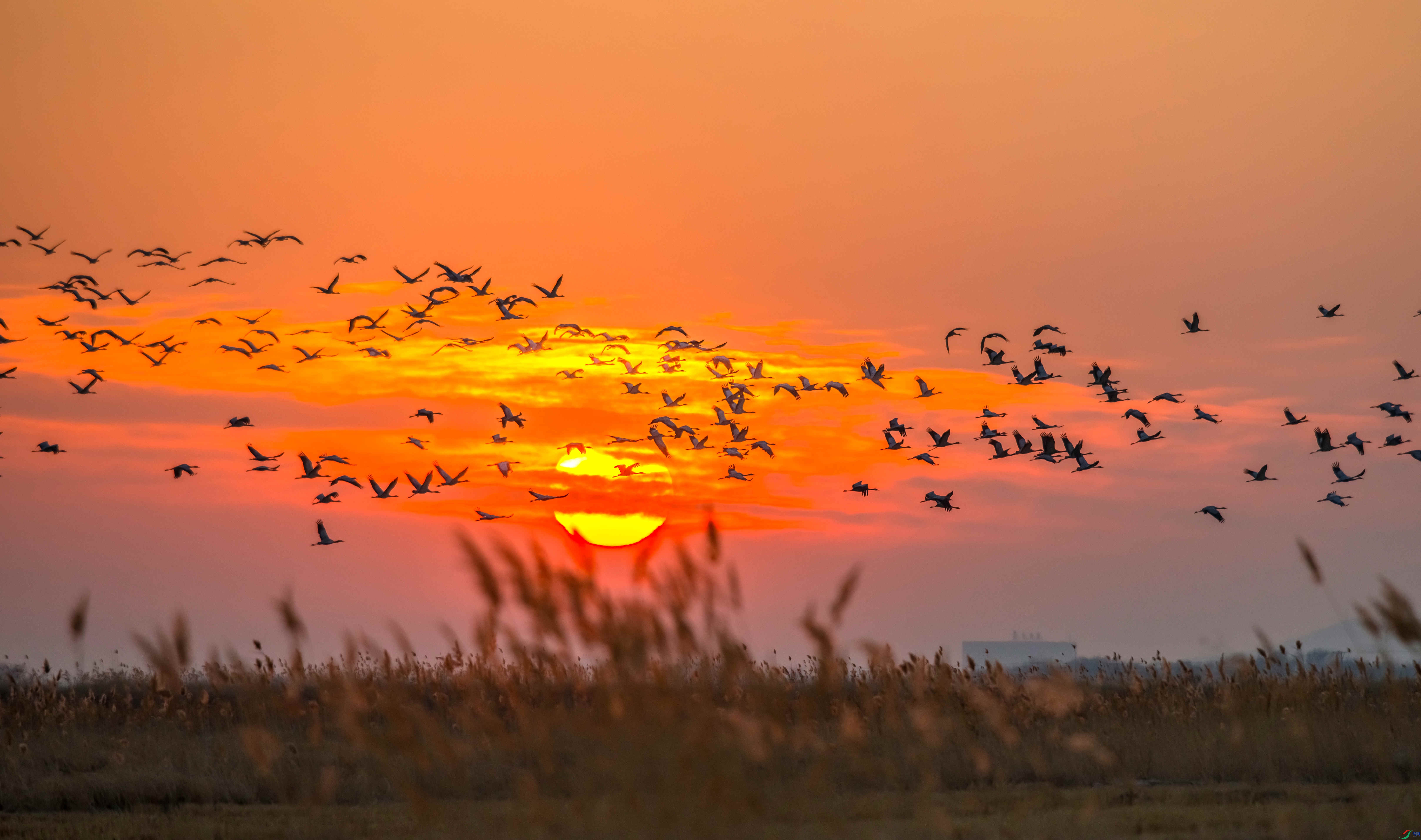 ��_DSC4839_����.jpg