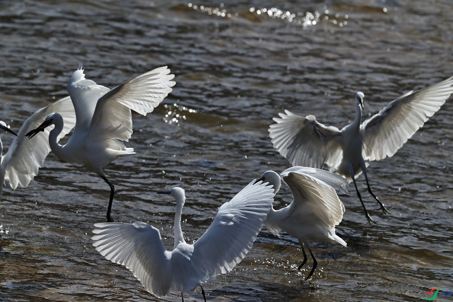 һȺ���غ�������