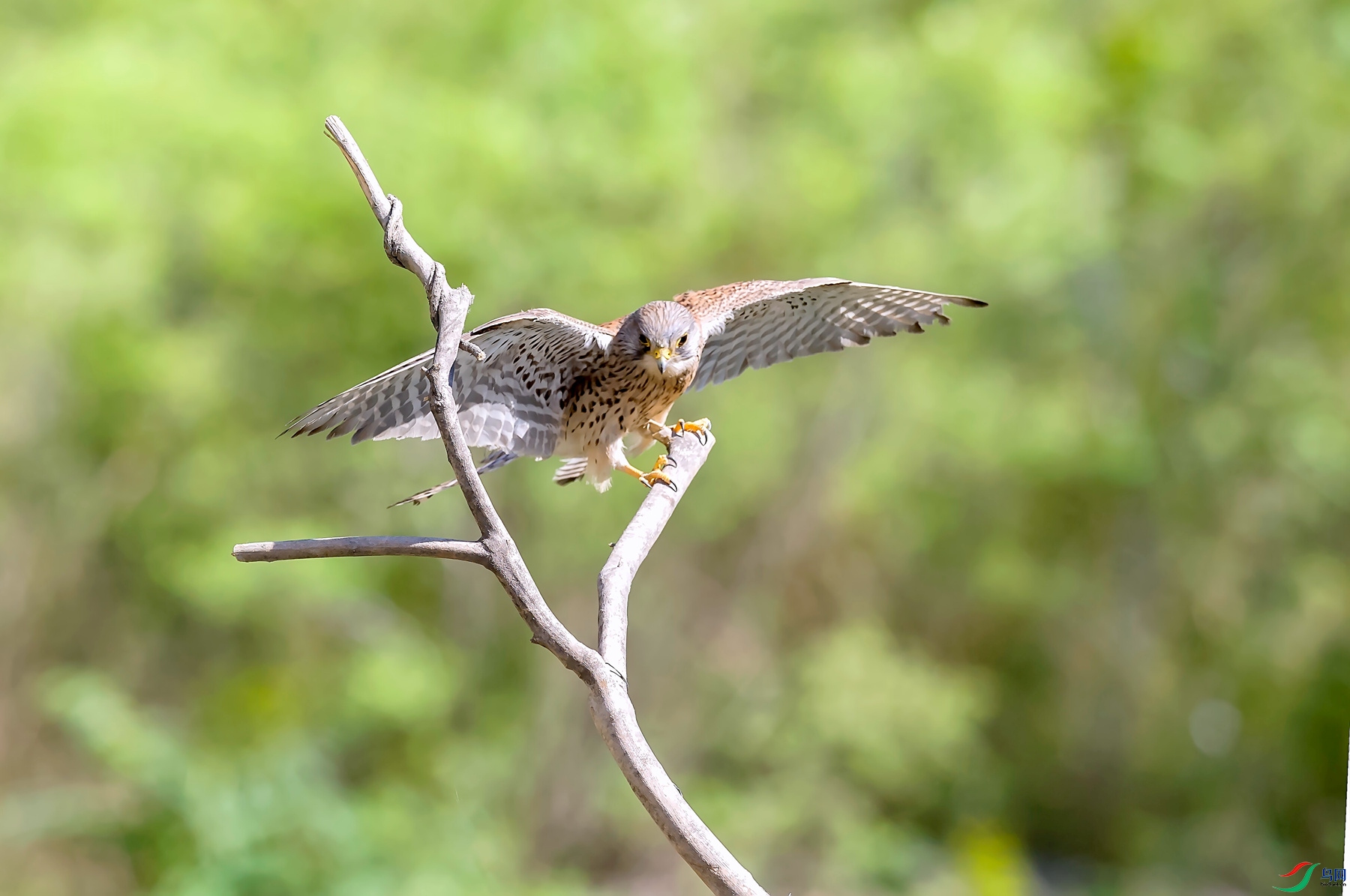 DSC_1149.jpg