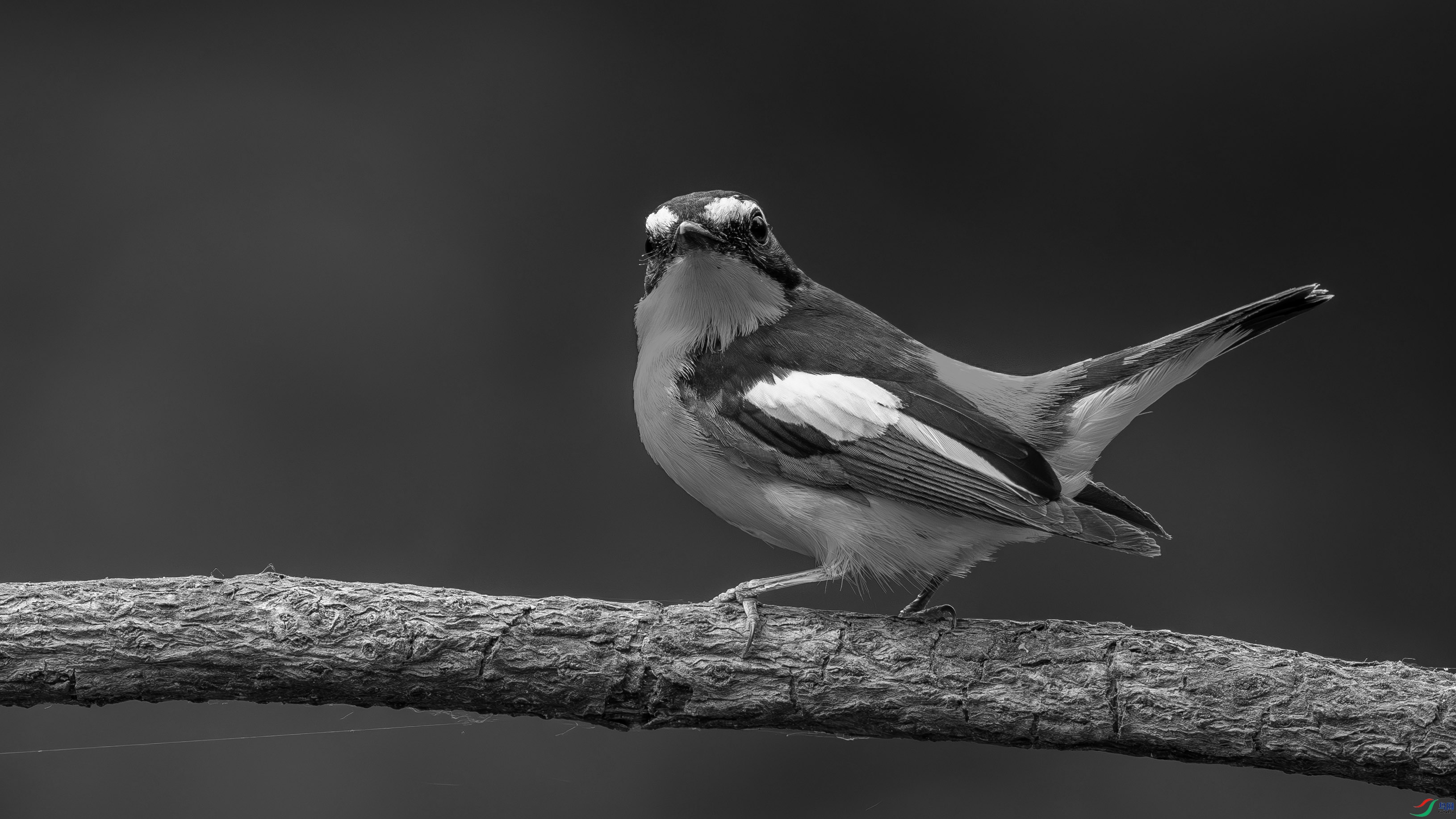 DSC05873-h.jpg