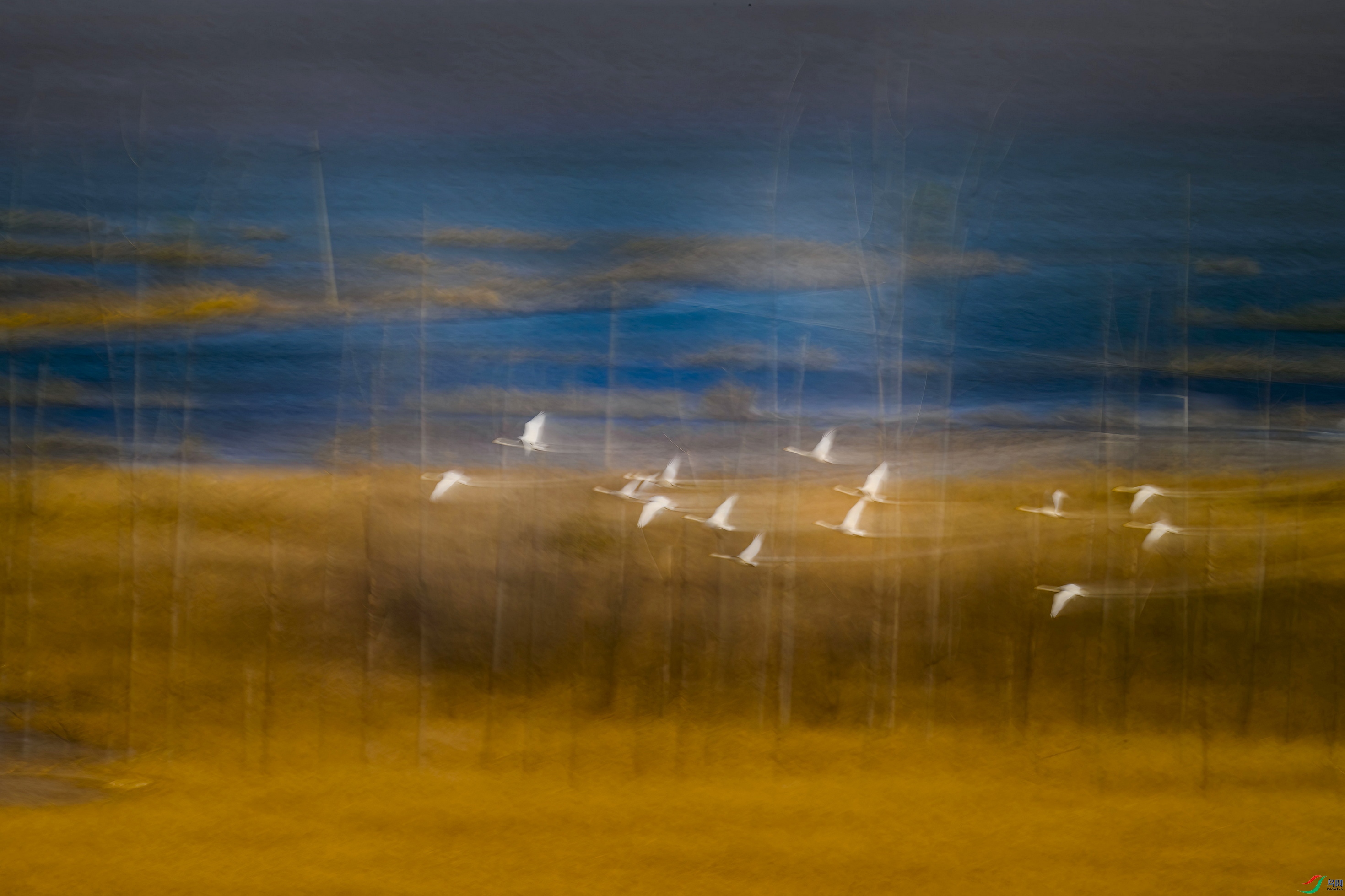 _DSC7362 ���� 2AF003.jpg