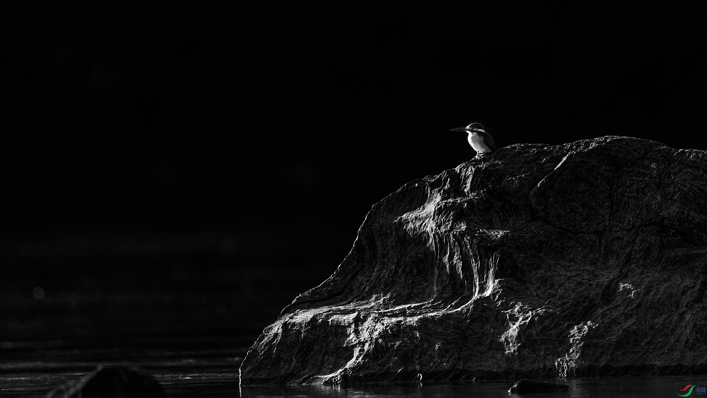 C09R4049 ����.jpg