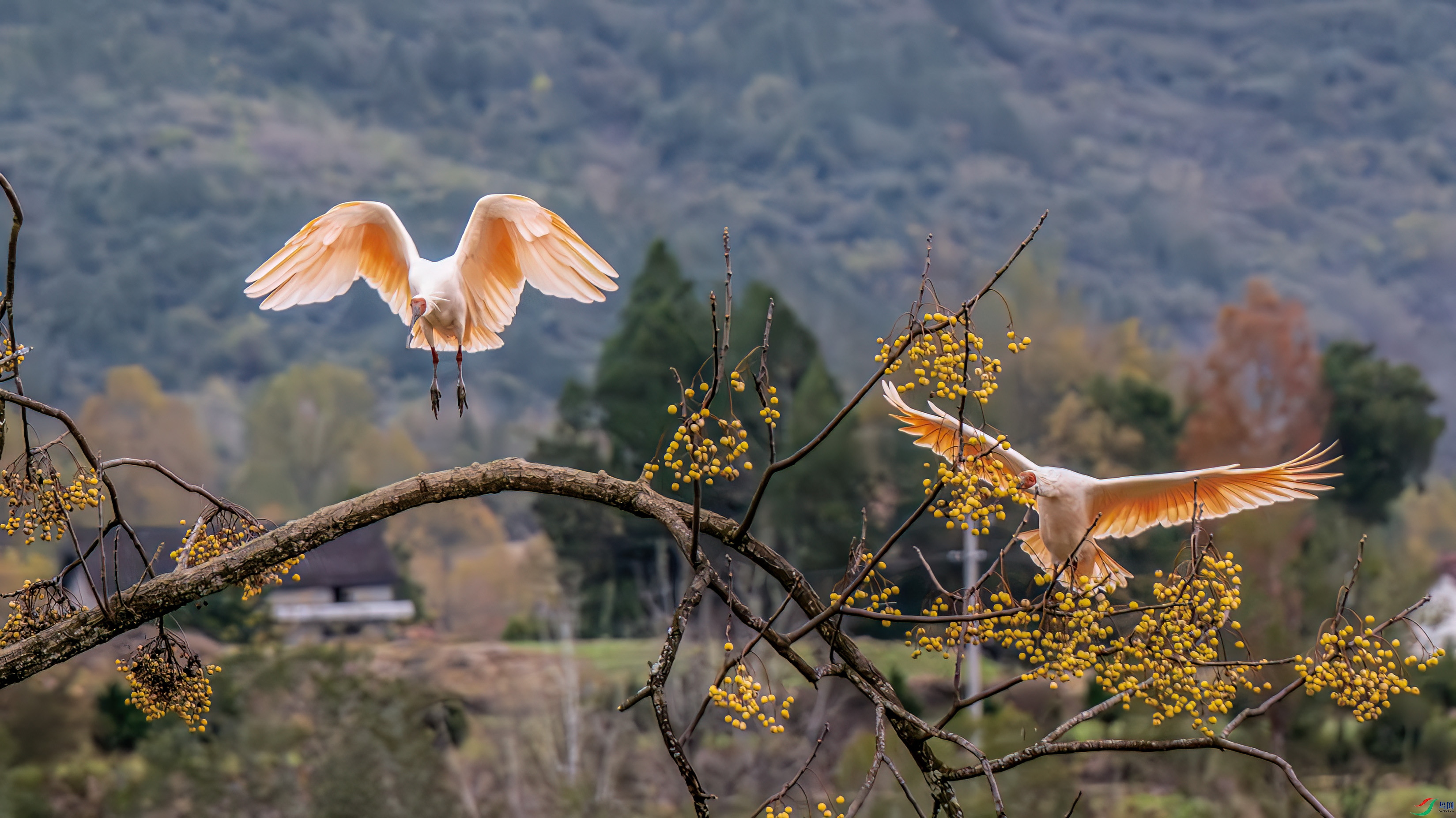 DSC_2472.jpg