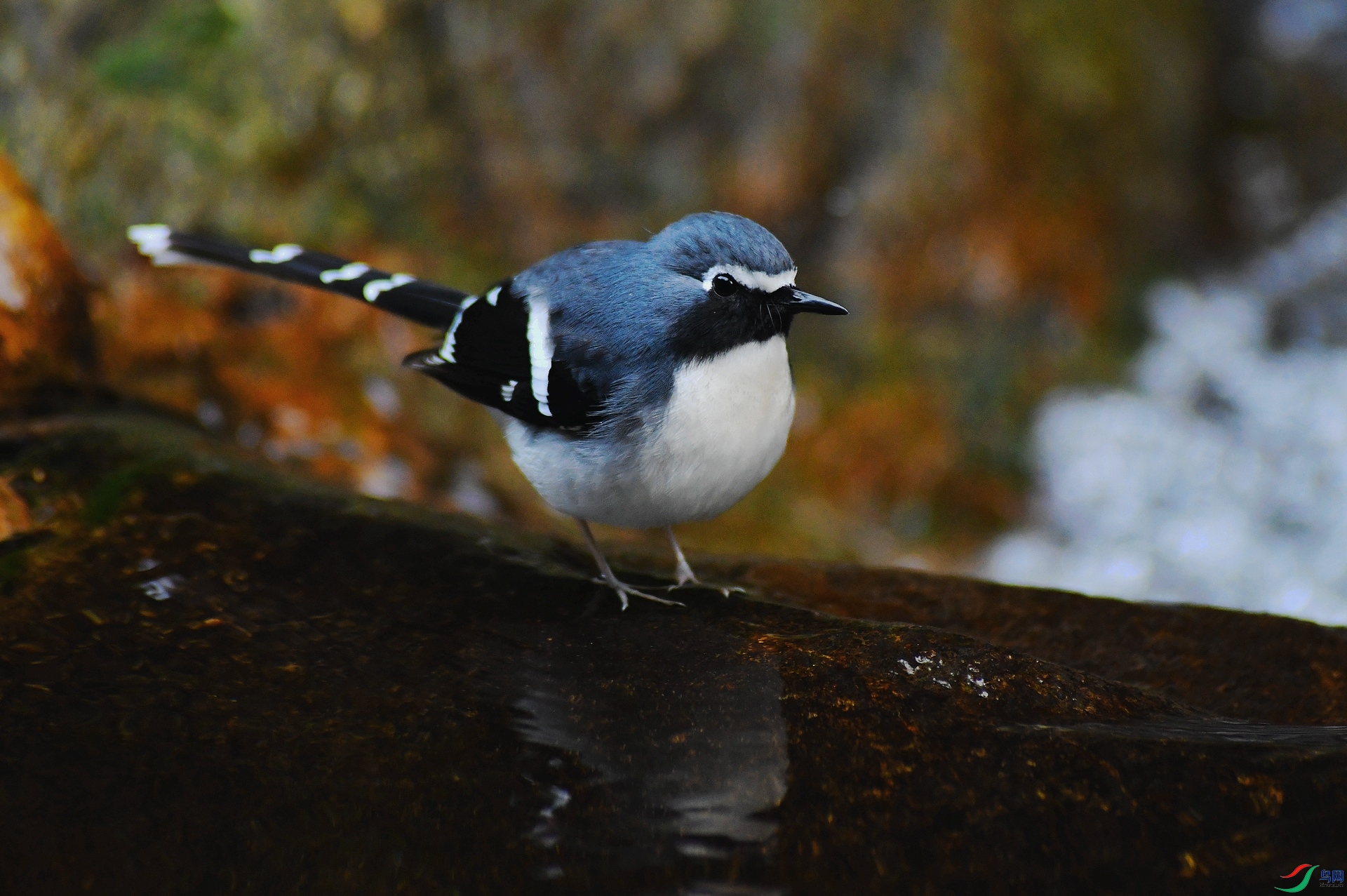 DSC_6299.jpg