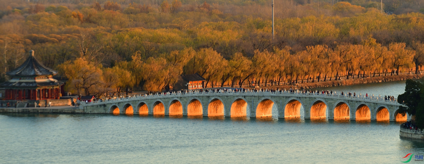 DSC_7493.JPG