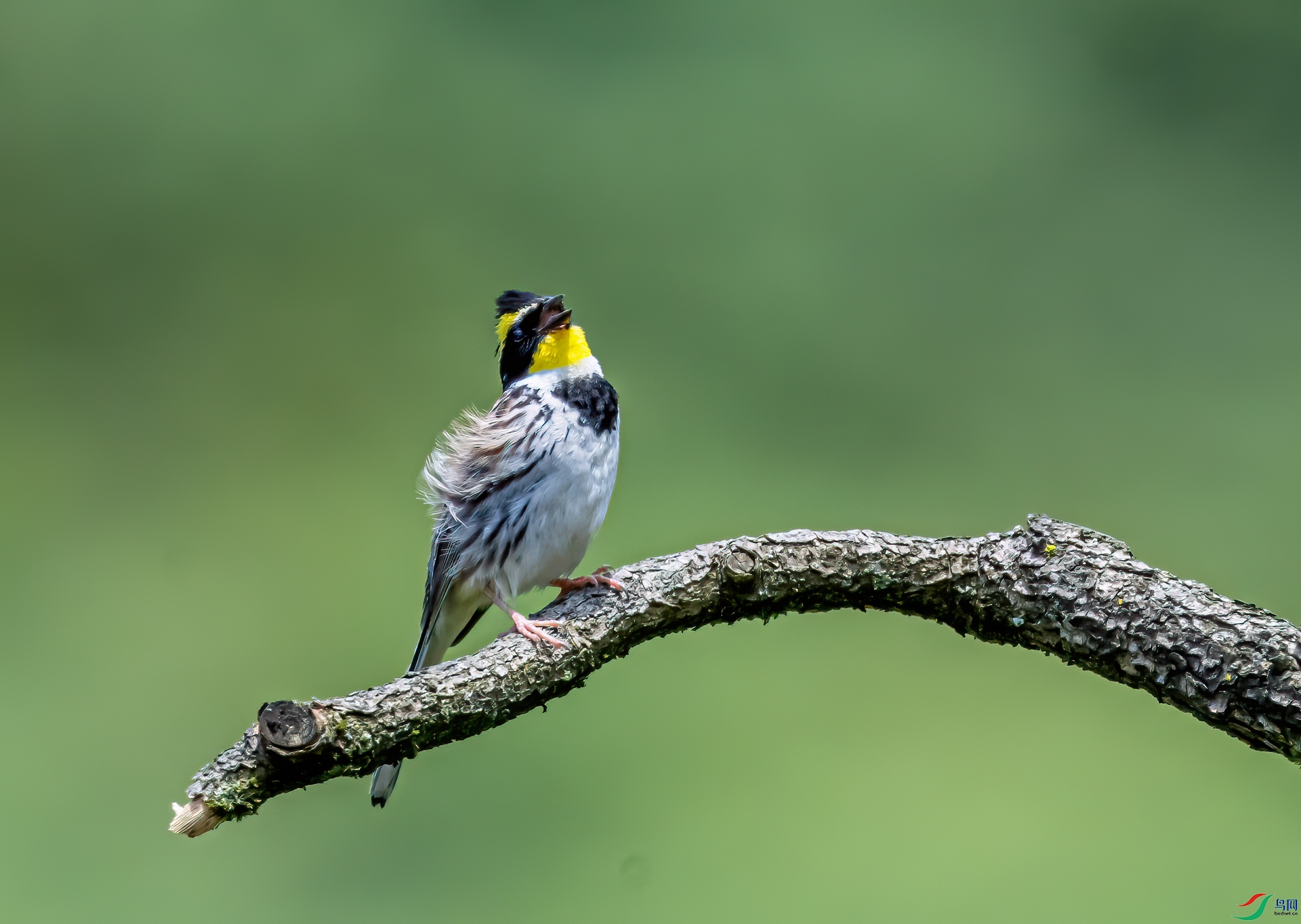 DSC_3169-11.jpg