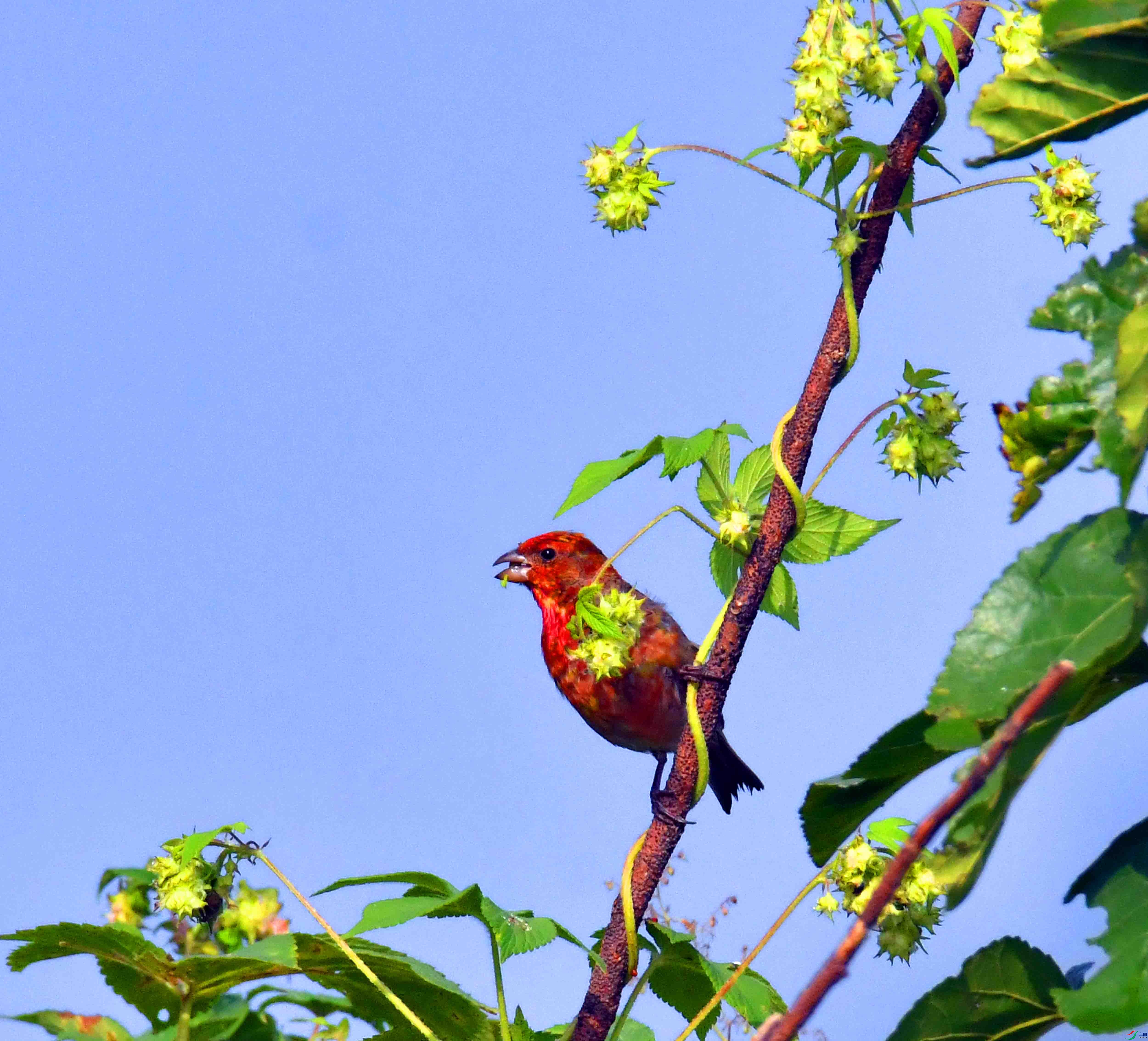 DSC_3627.JPG